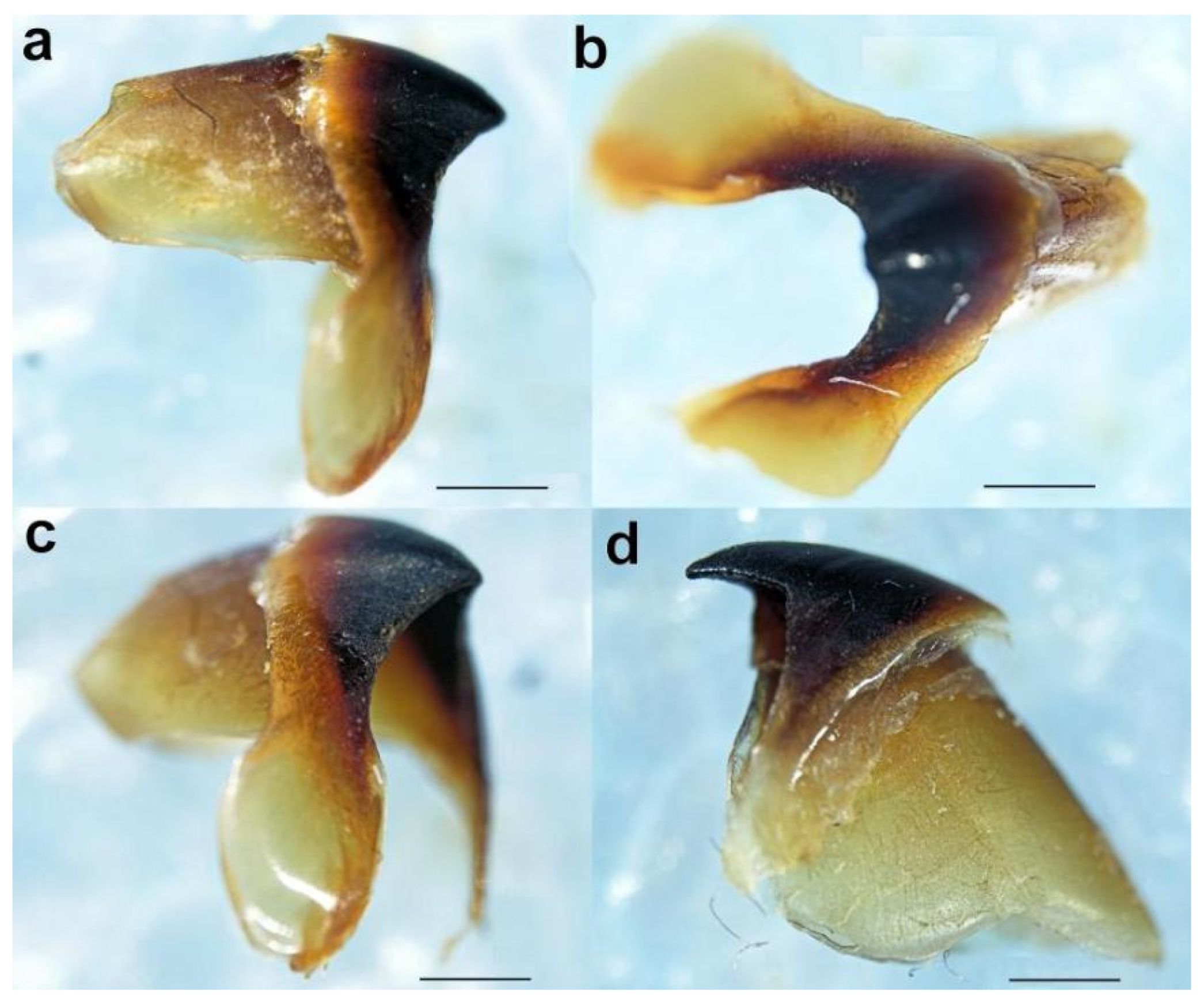 Diversity 14 01073 g018