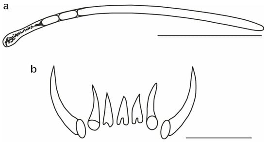 Diversity 14 01073 g019