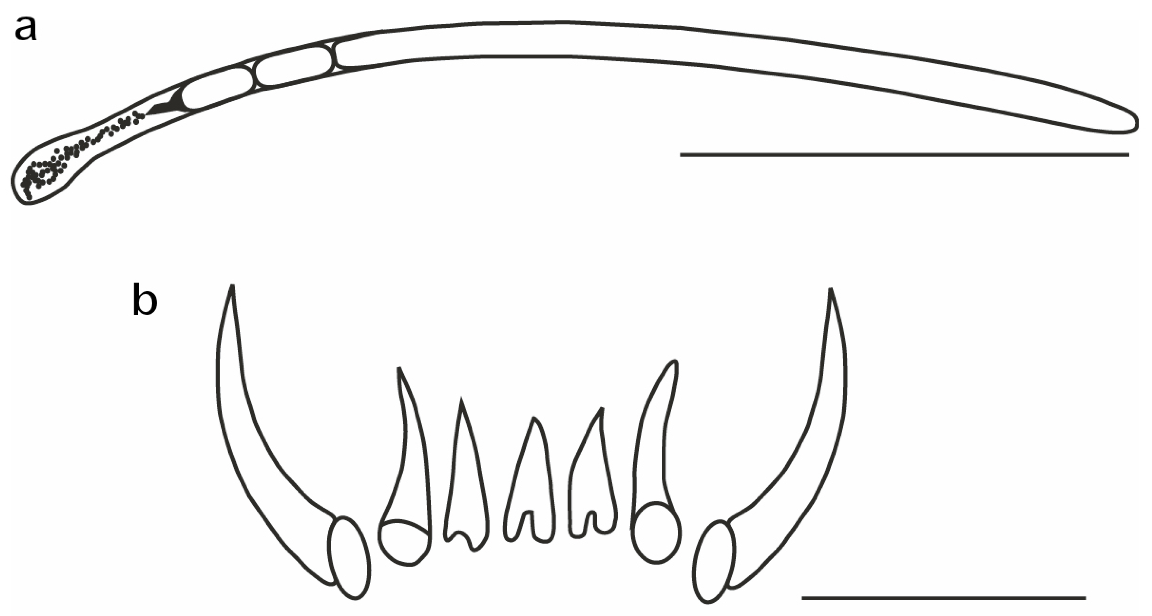 Diversity 14 01073 g019