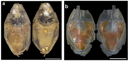 Diversity 14 01073 g023