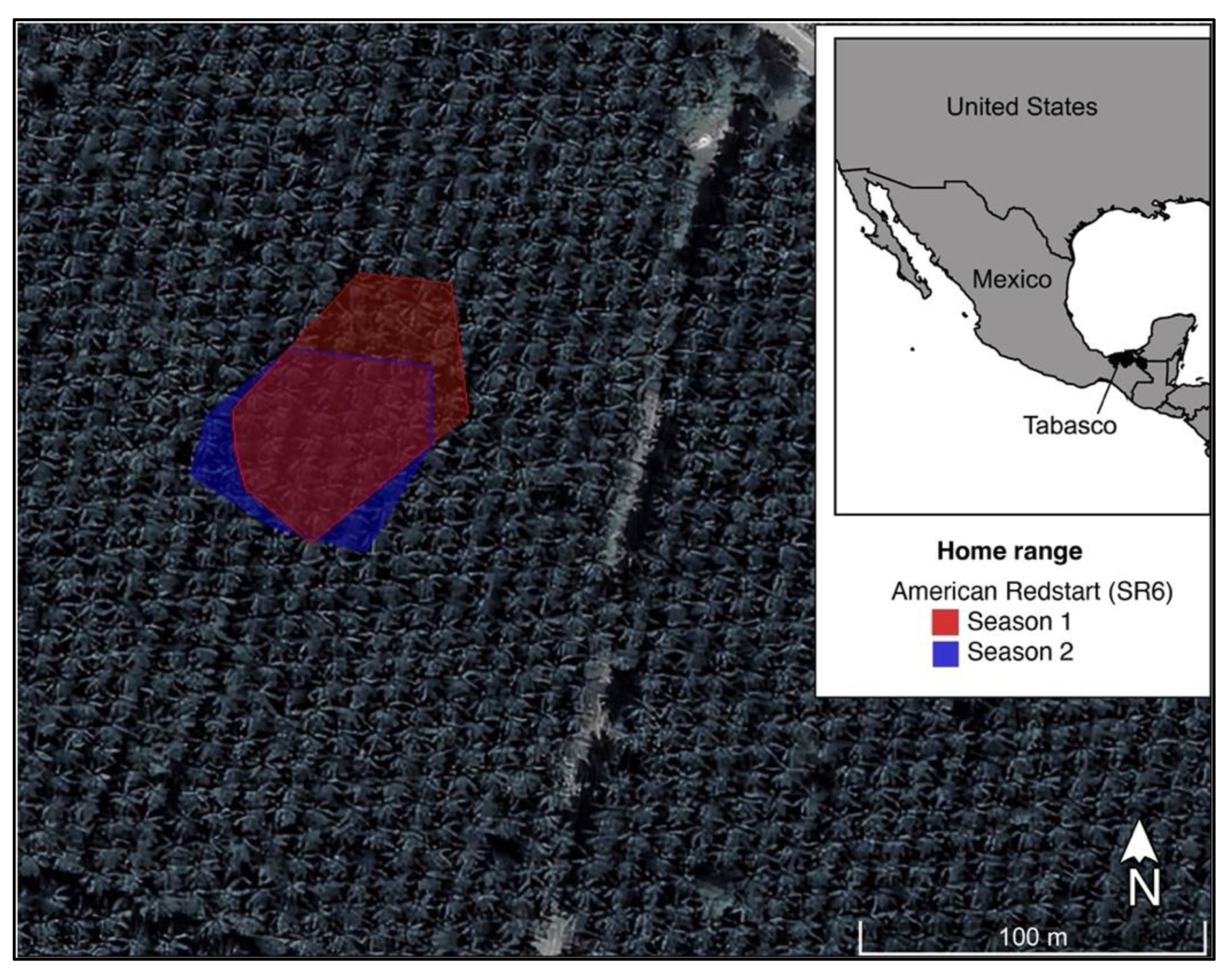 Diversity 14 01079 g003