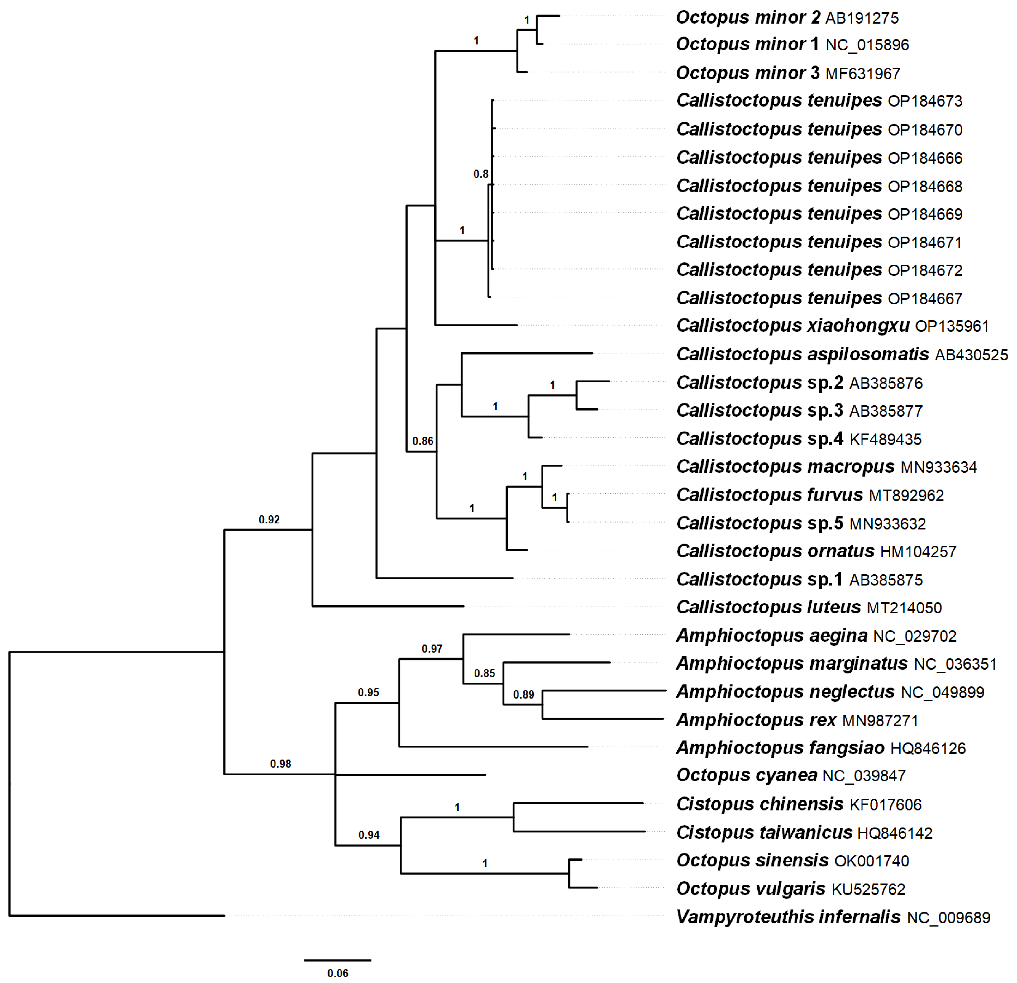 Diversity 14 01083 g002