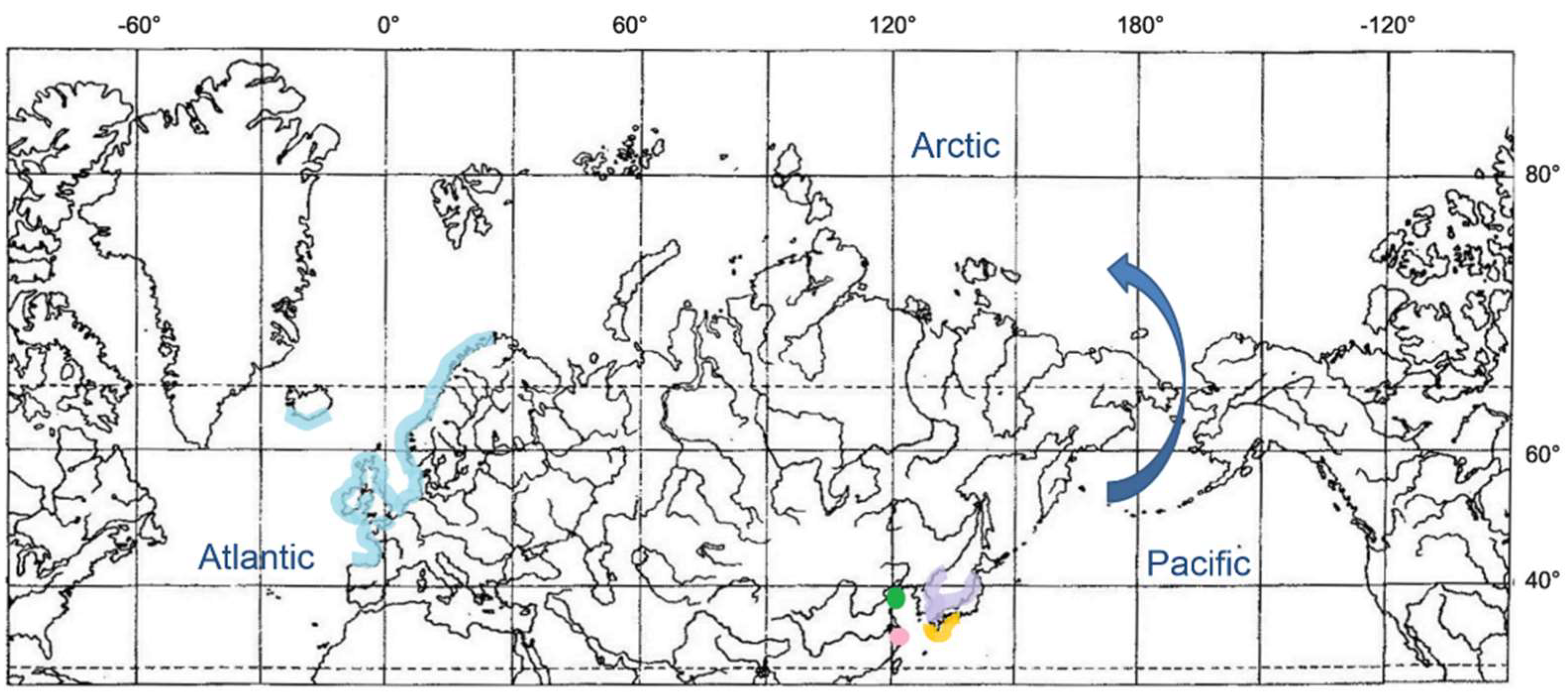Diversity 14 01097 g001 Diversity 14 01097 g001