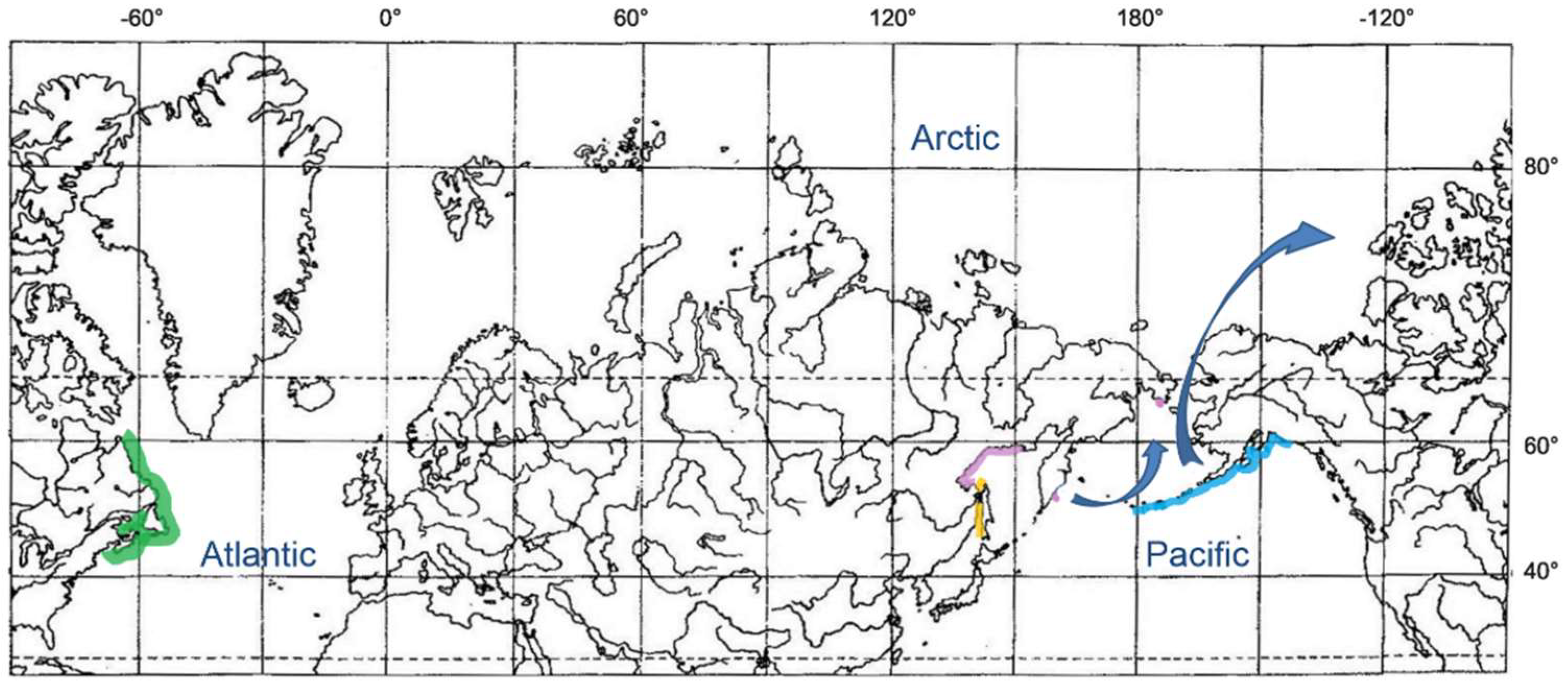 Diversity 14 01097 g002 Diversity 14 01097 g002