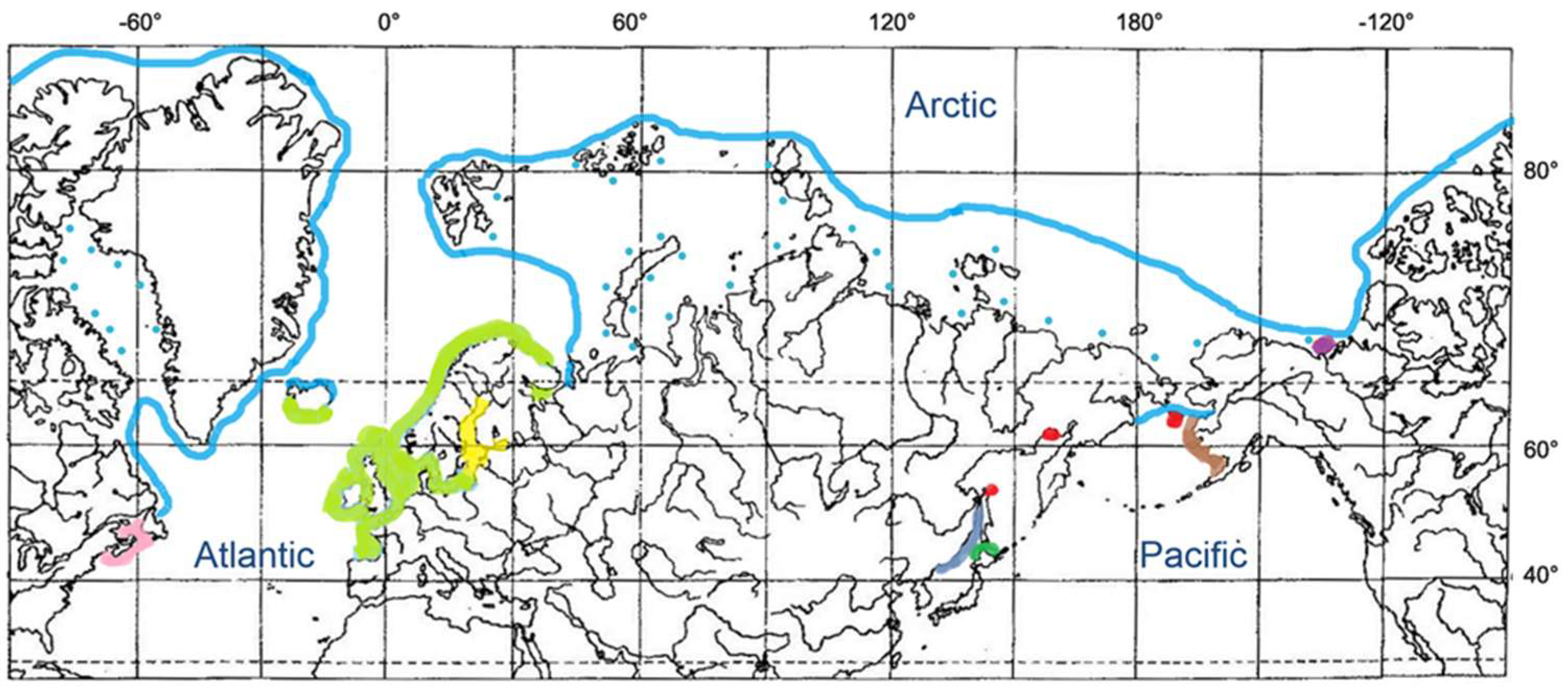 Diversity 14 01097 g004 Diversity 14 01097 g004