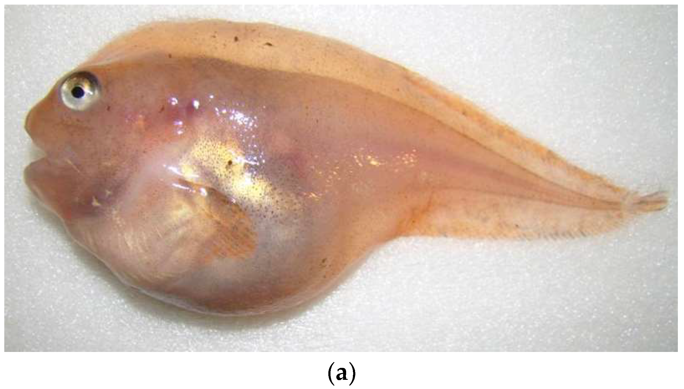 Diversity 14 01097 g007a Diversity 14 01097 g007a