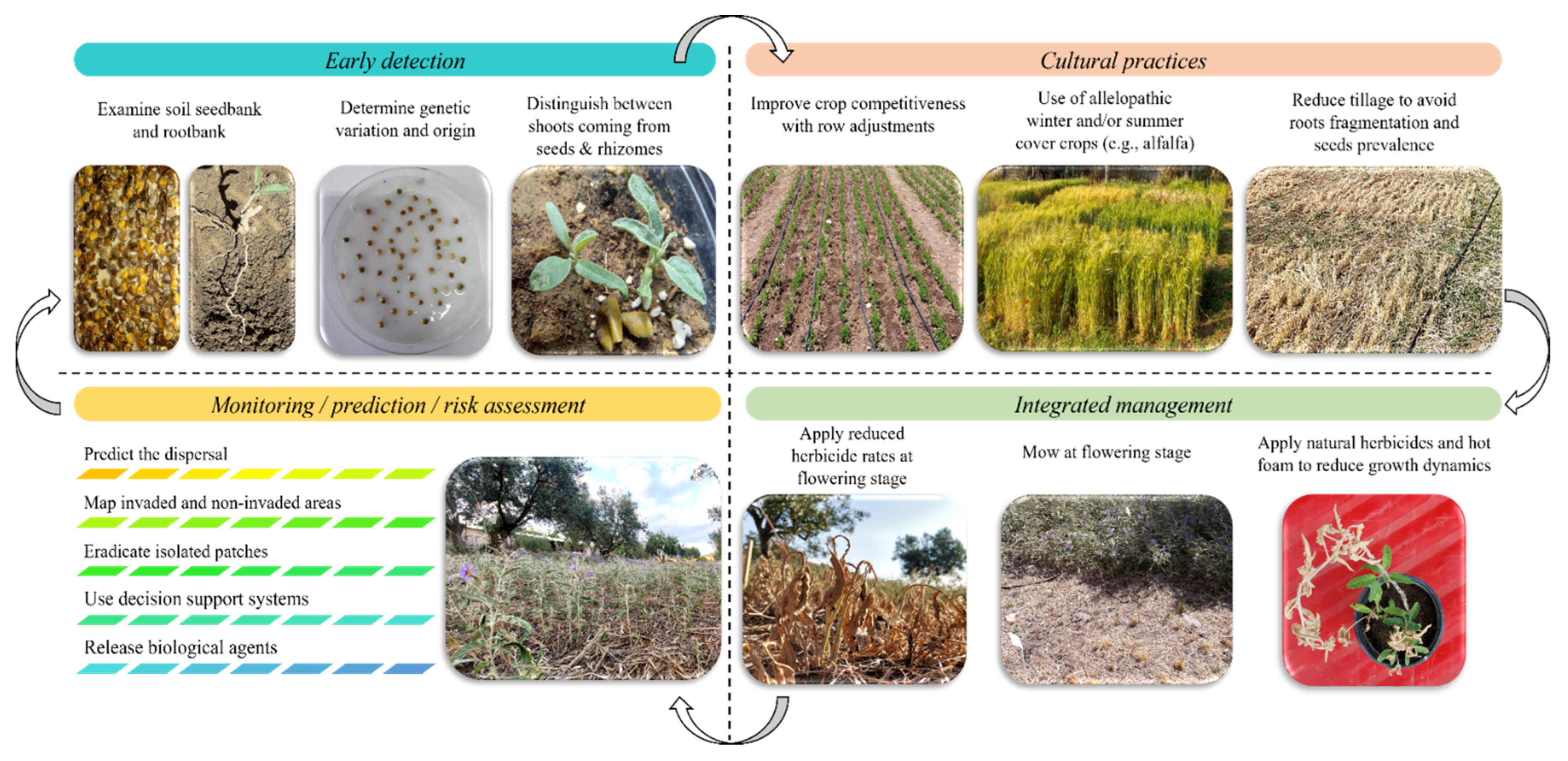 Diversity 14 01101 g003