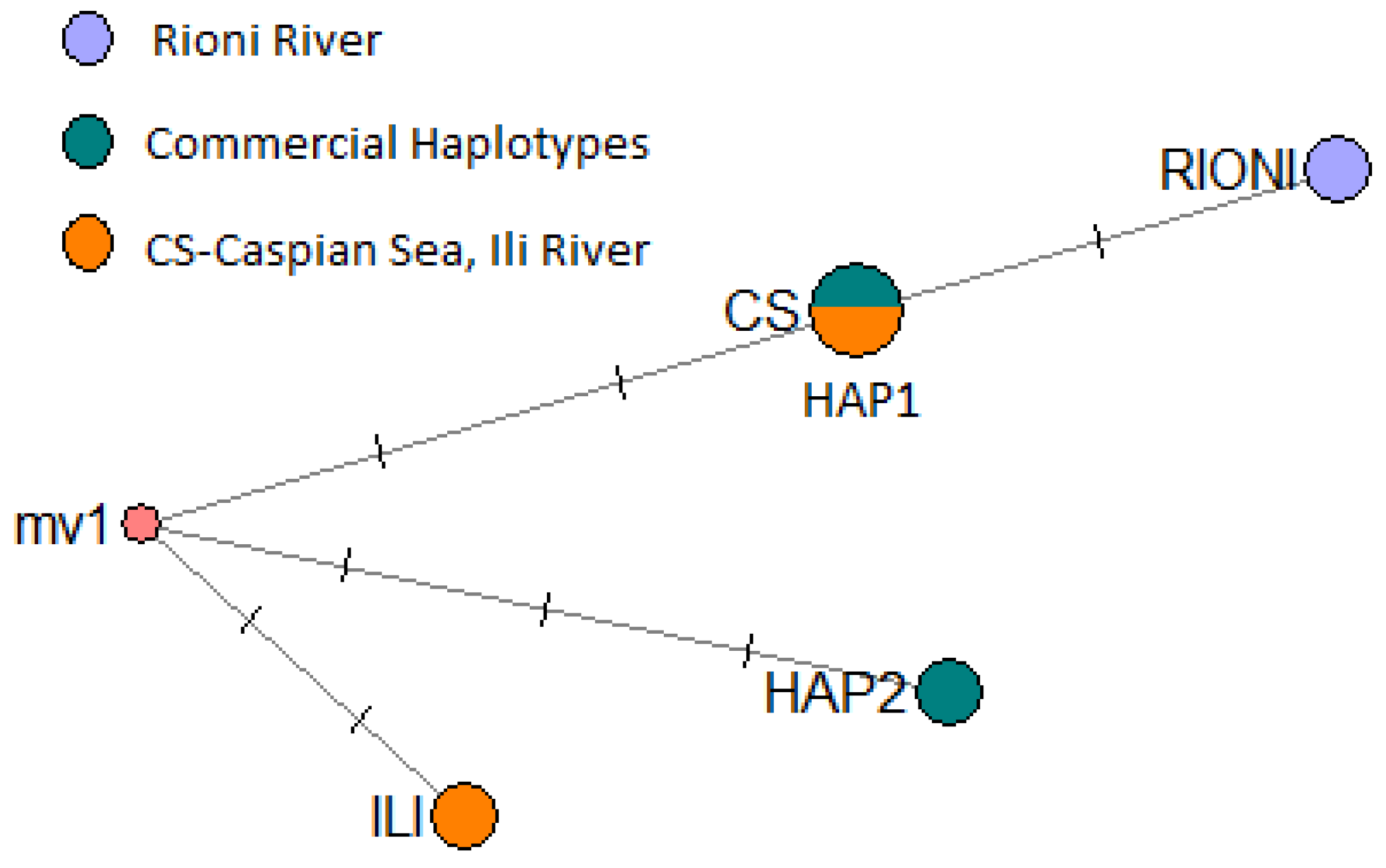 Diversity 14 01102 g002 Diversity 14 01102 g002