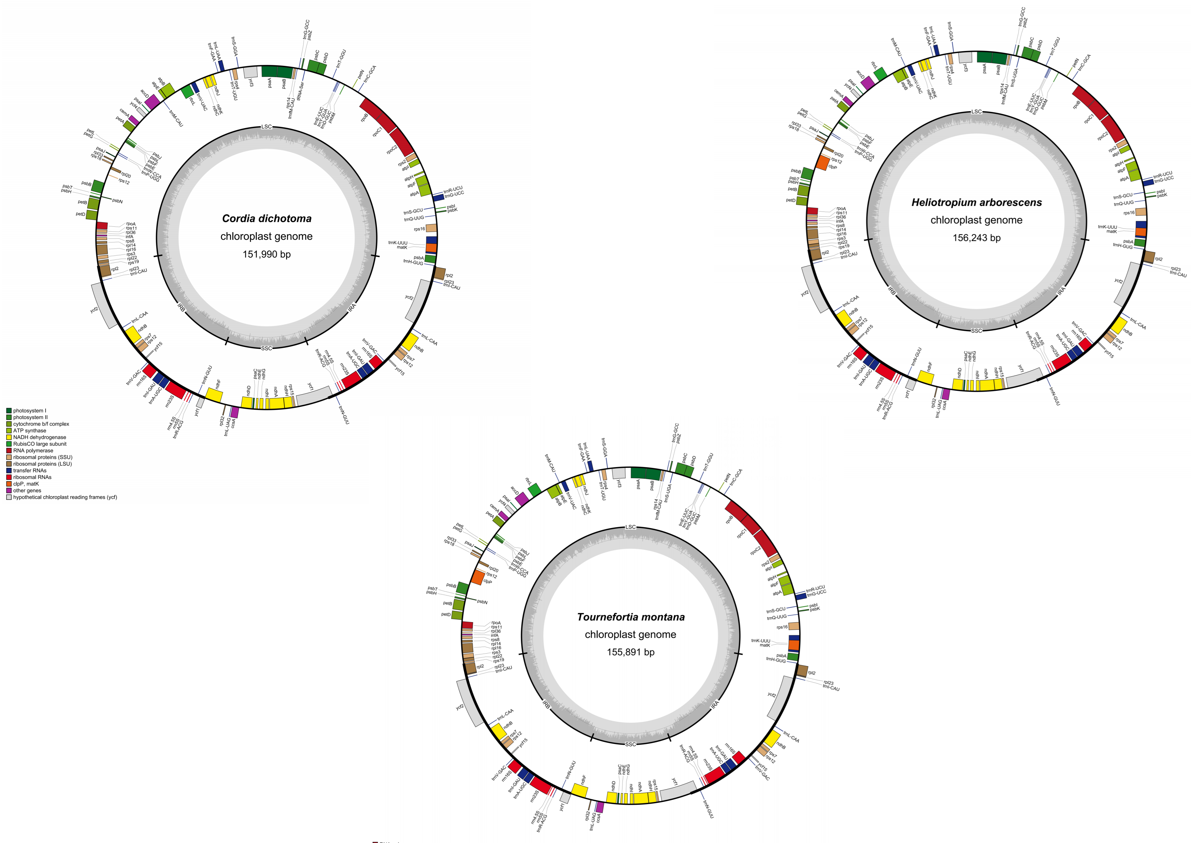 Diversity 14 01104 g001