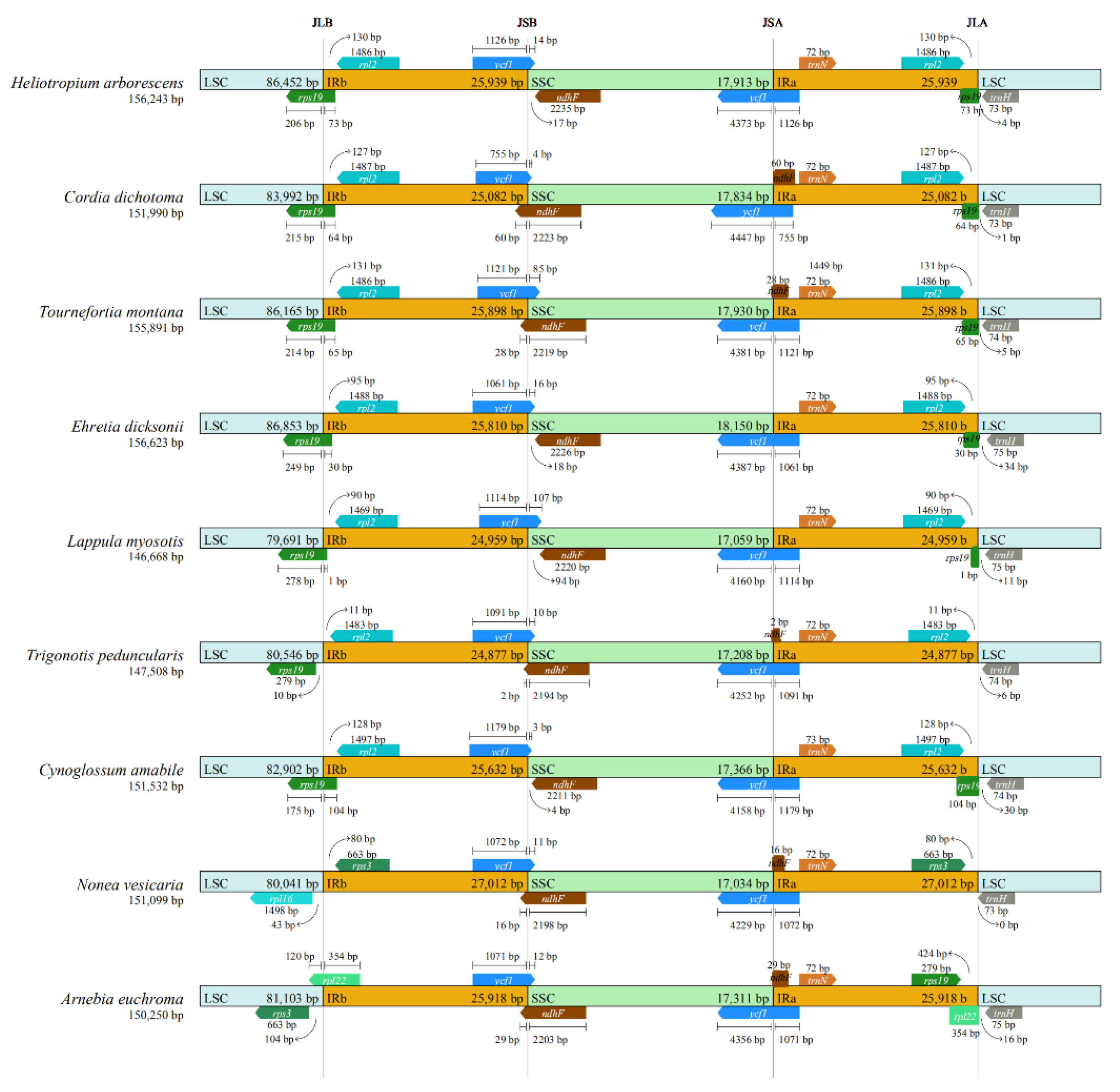 Diversity 14 01104 g006