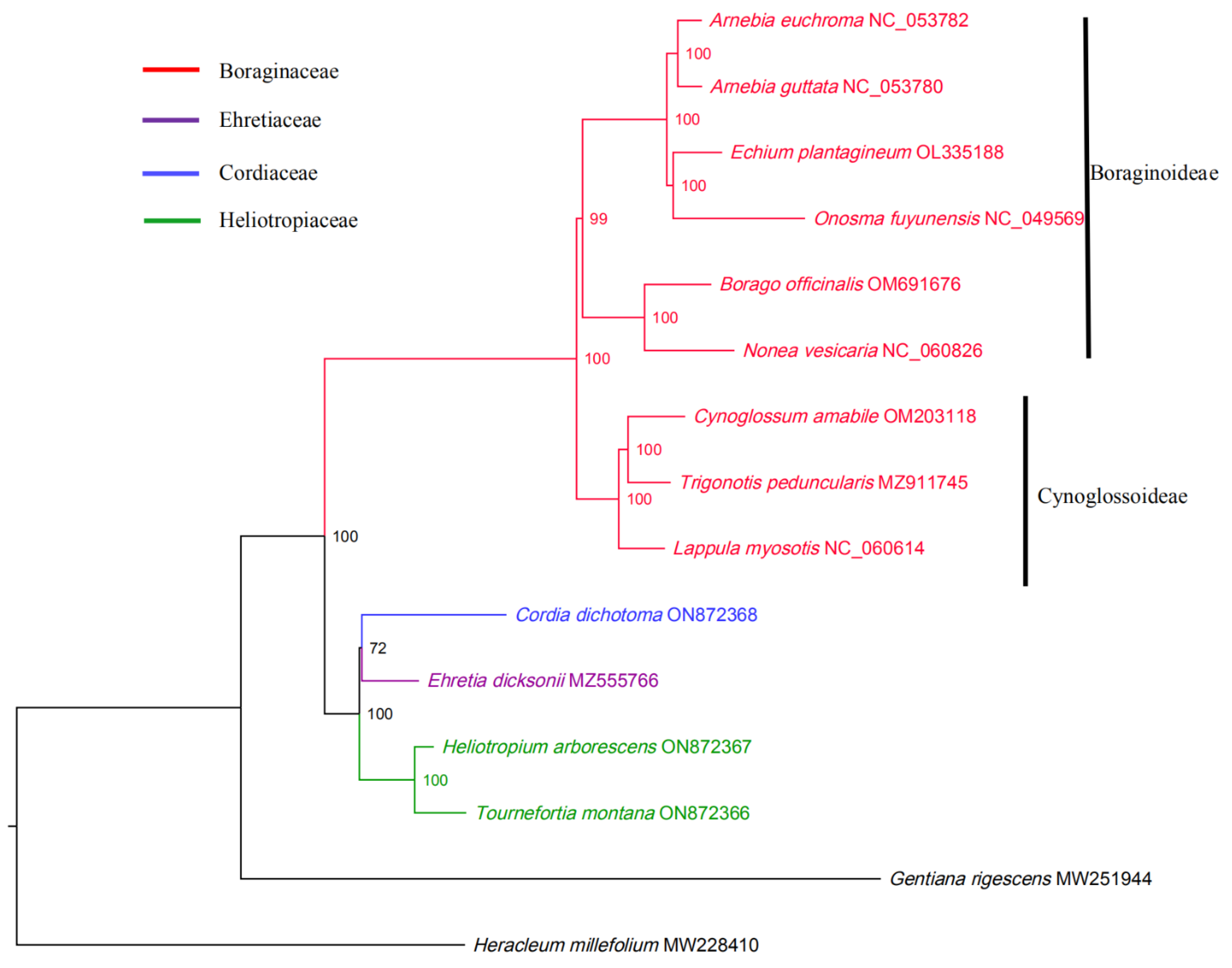 Diversity 14 01104 g008