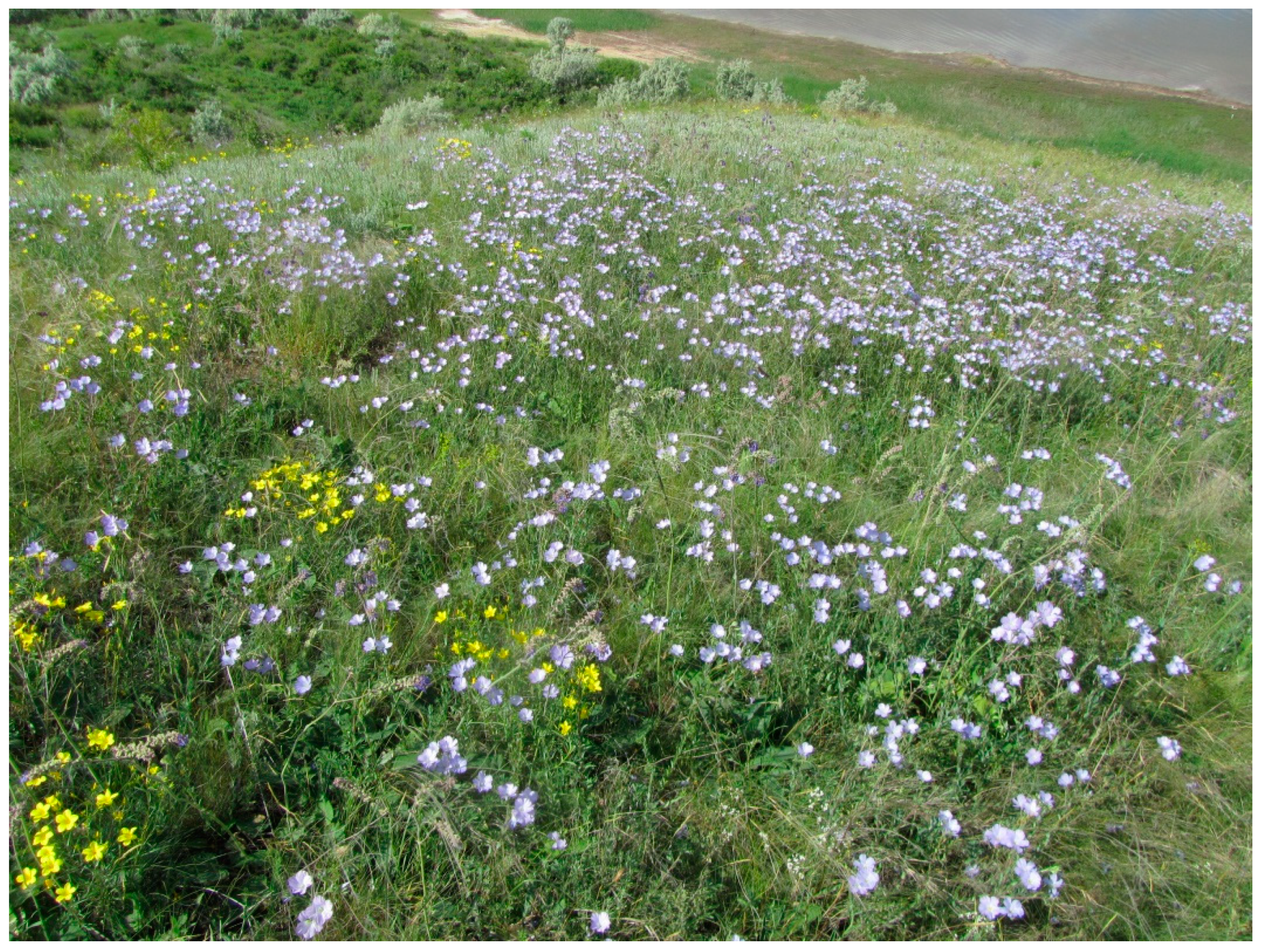 Diversity 14 01115 g002