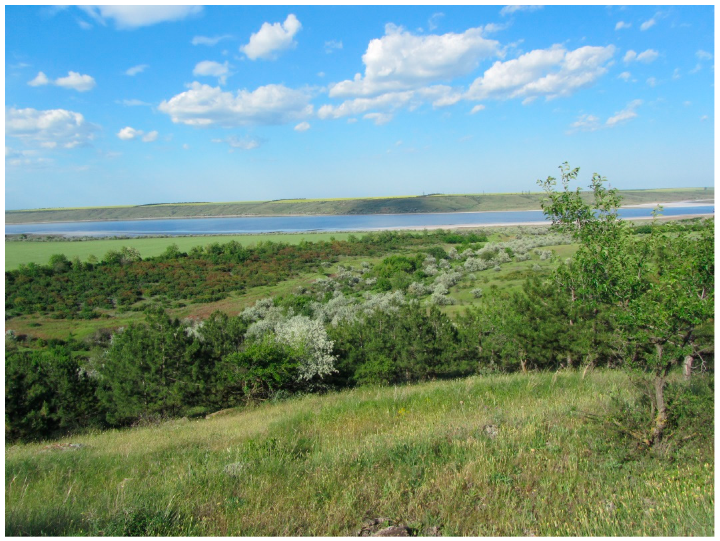 Diversity 14 01115 g003