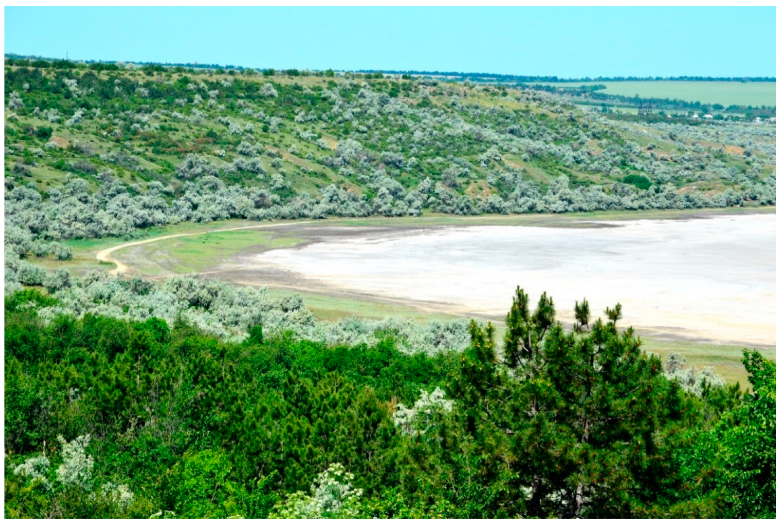 Diversity 14 01115 g004