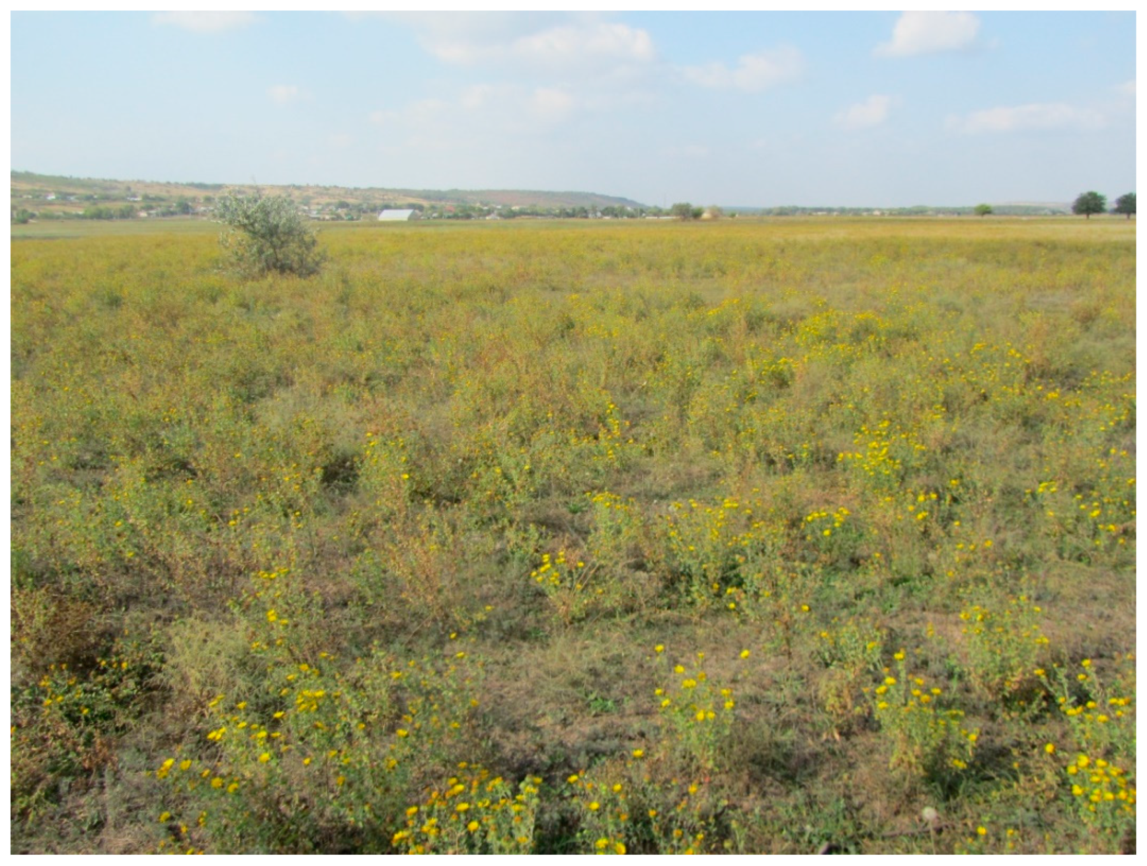 Diversity 14 01115 g009