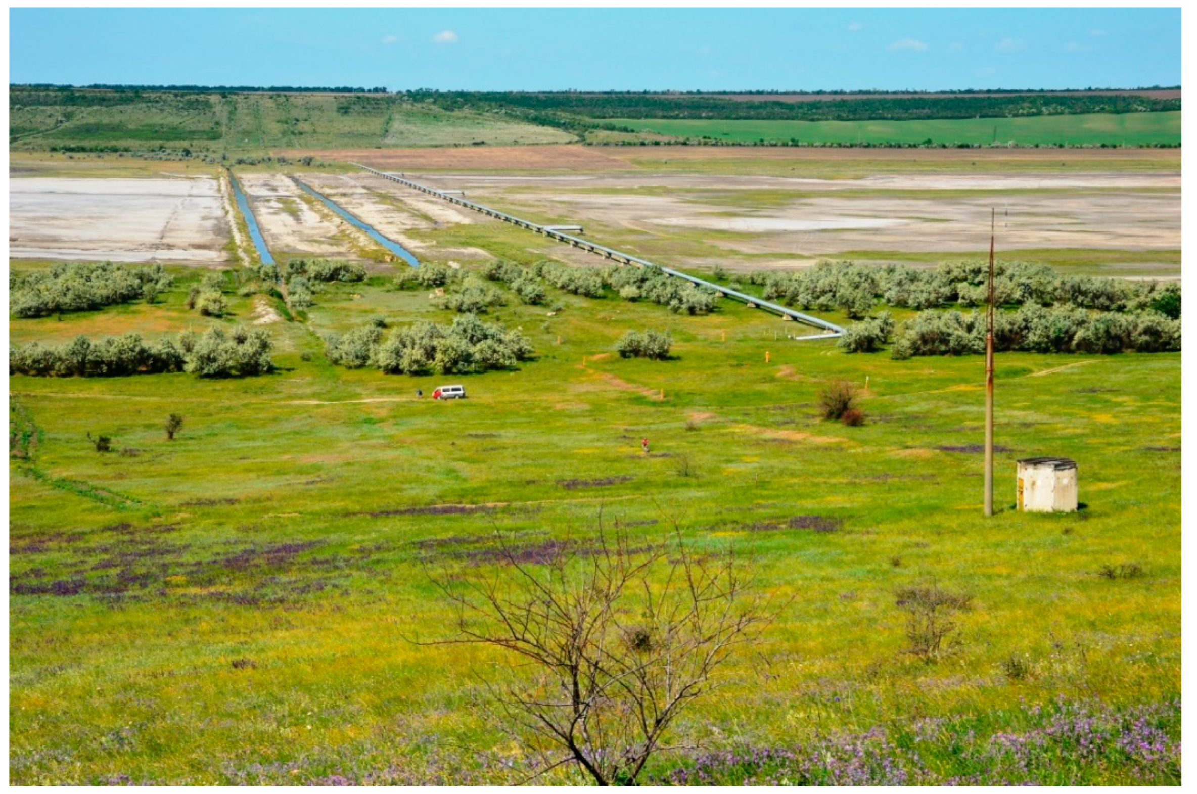 Diversity 14 01115 g010