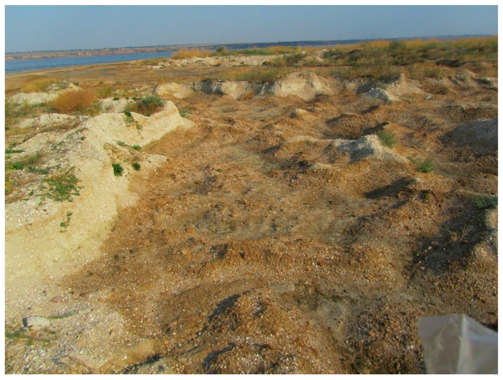 Diversity 14 01115 g011