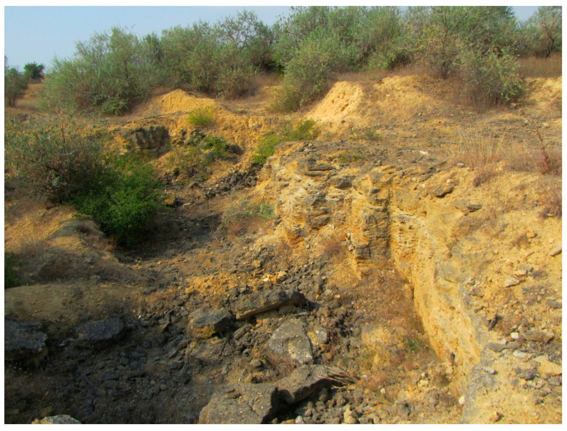 Diversity 14 01115 g012