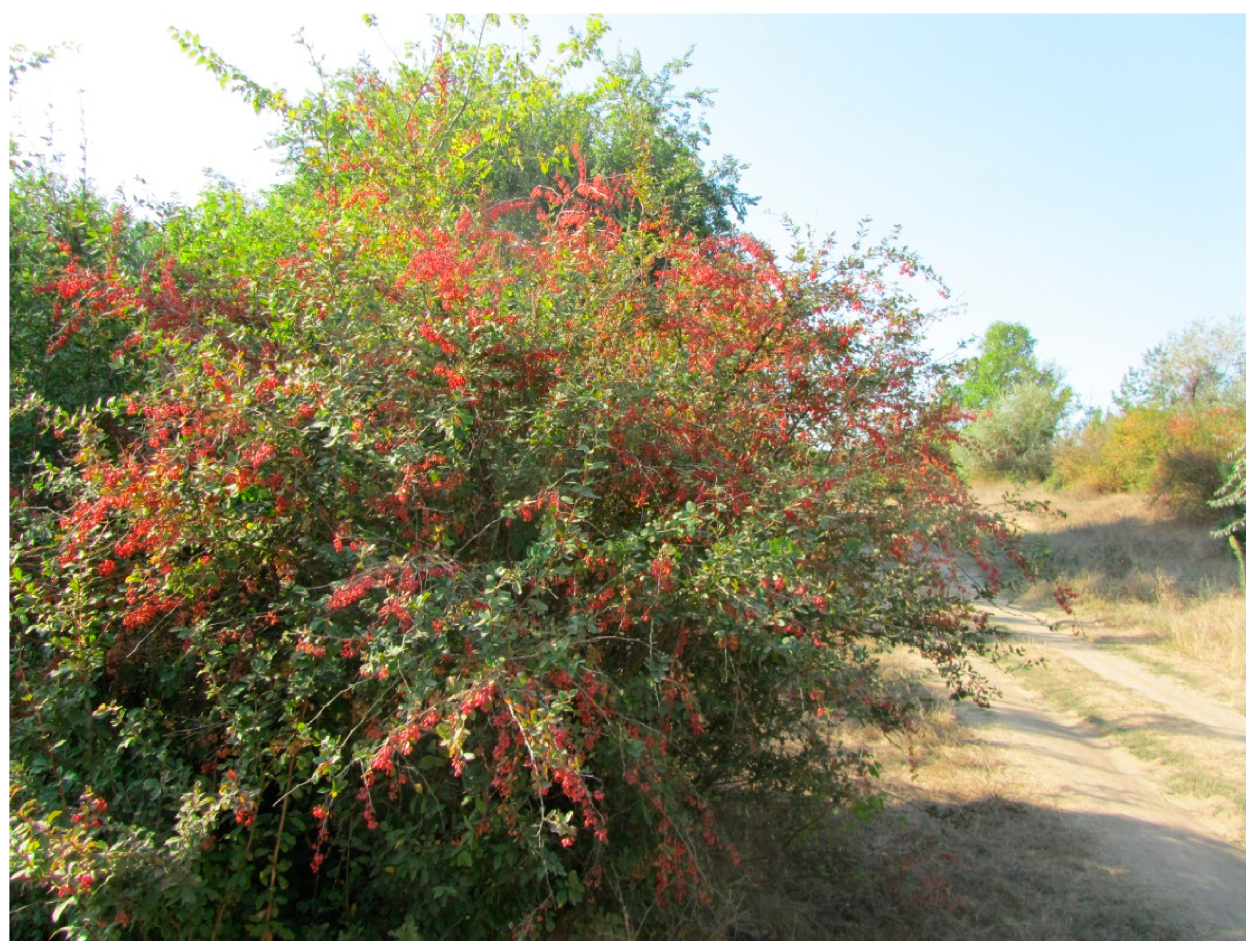 Diversity 14 01115 g018