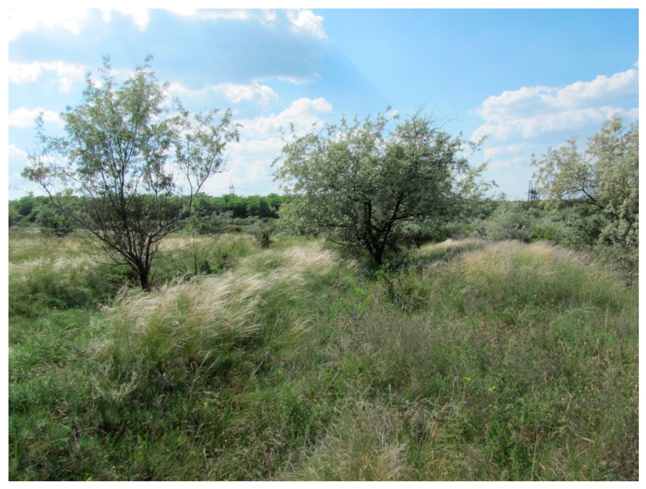 Diversity 14 01115 g020