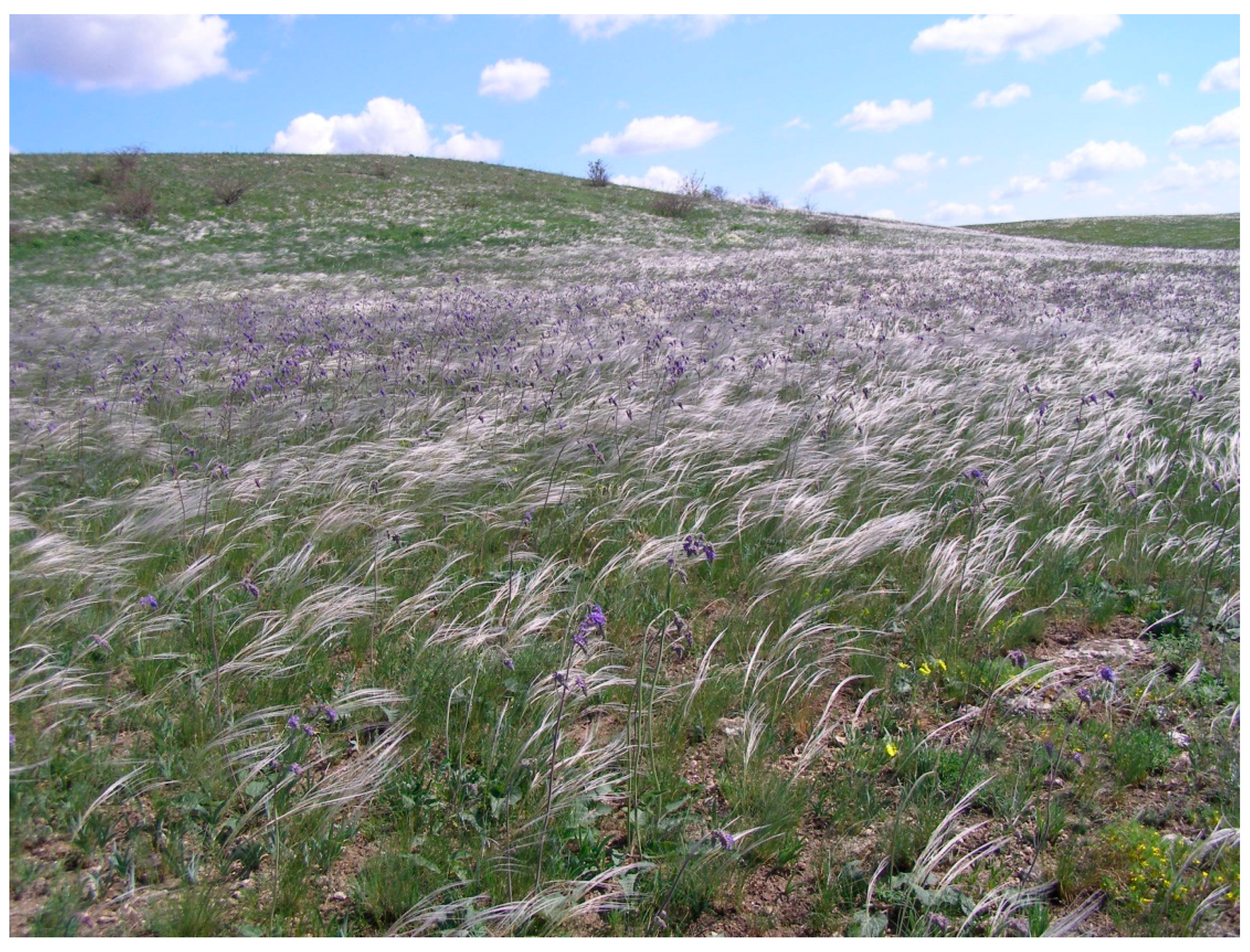 Diversity 14 01115 g023