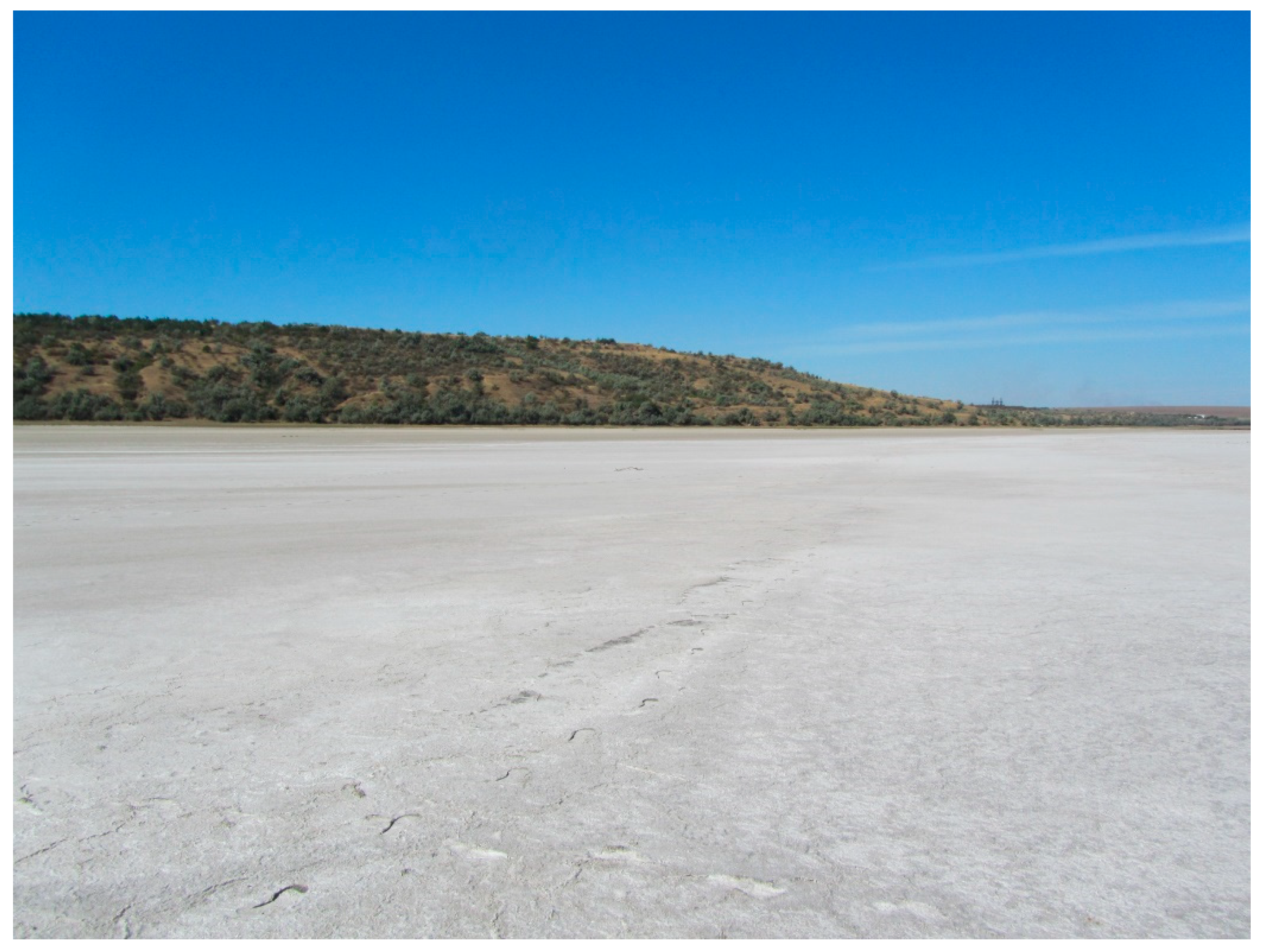 Diversity 14 01115 g026