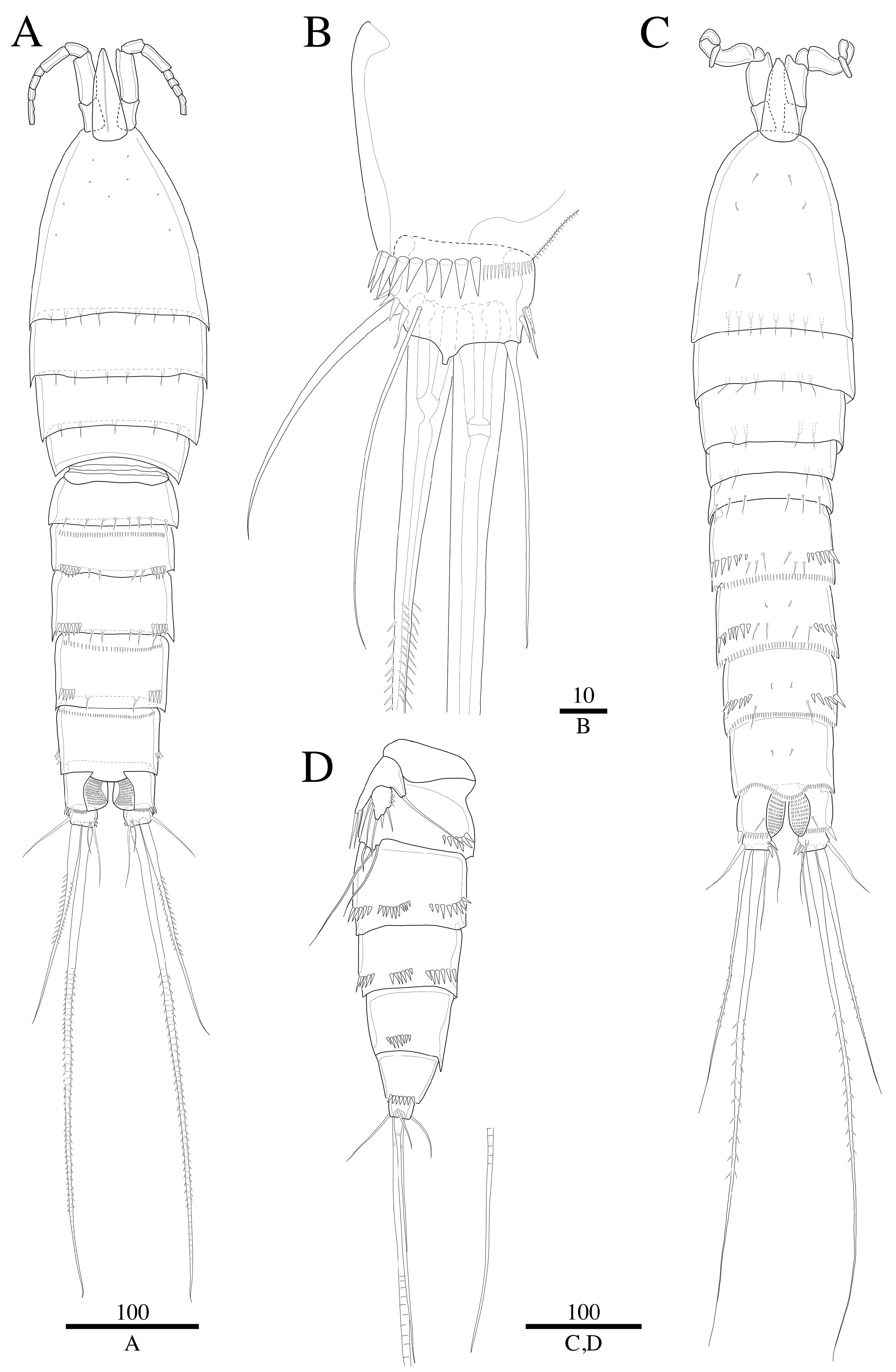 Diversity 14 01127 g002 Diversity 14 01127 g002