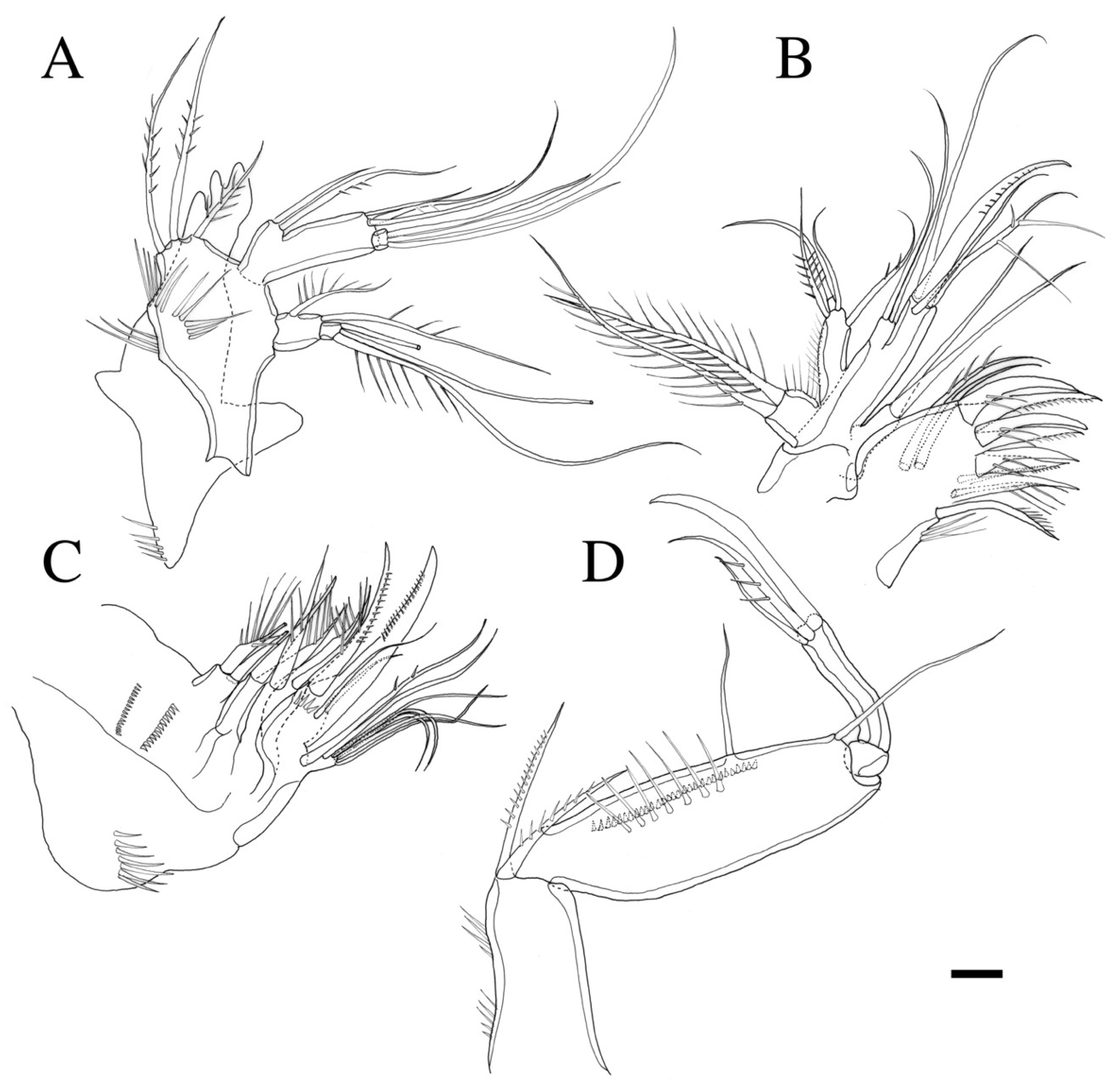 Diversity 14 01127 g004 Diversity 14 01127 g004