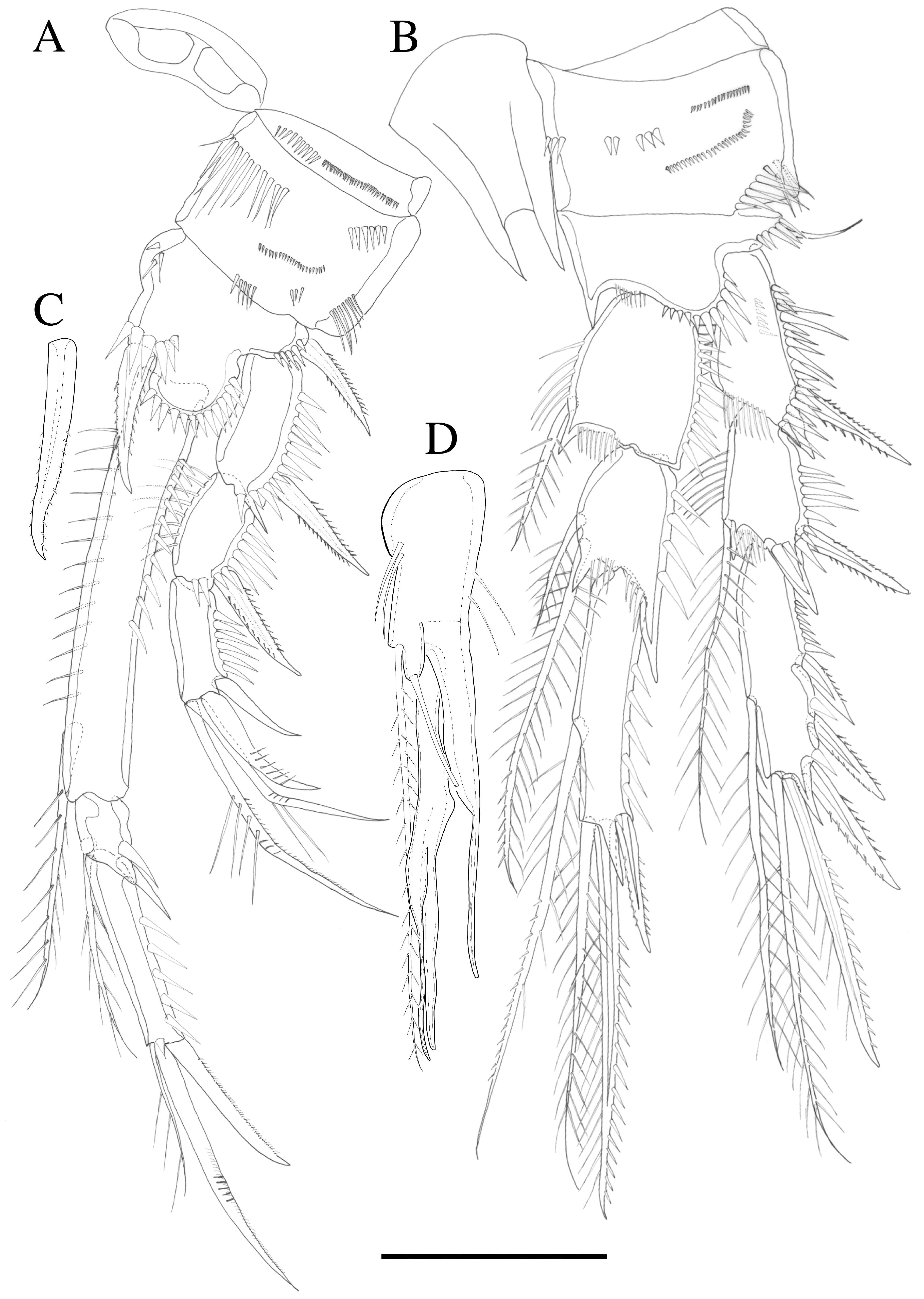 Diversity 14 01127 g005 Diversity 14 01127 g005