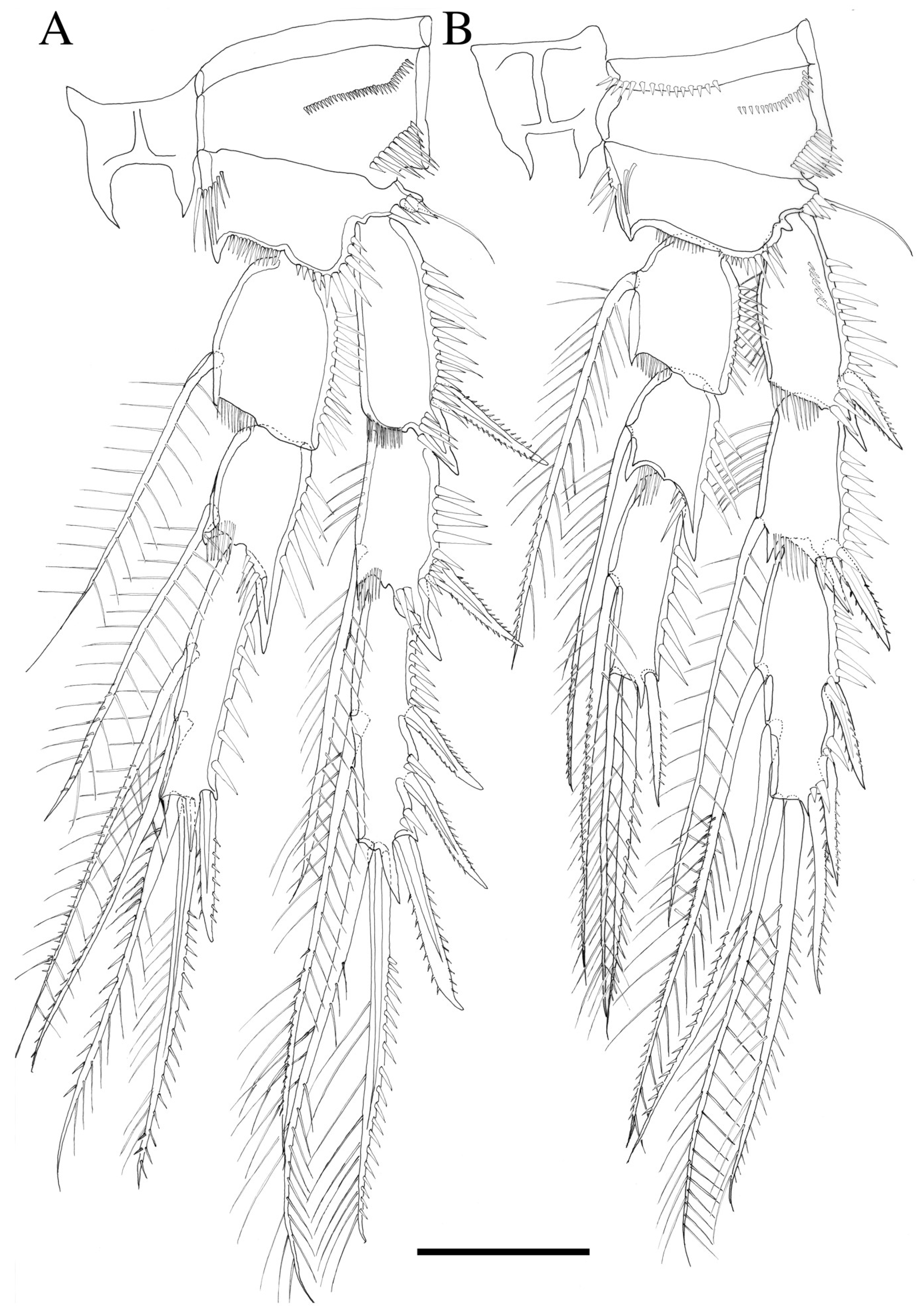 Diversity 14 01127 g006 Diversity 14 01127 g006