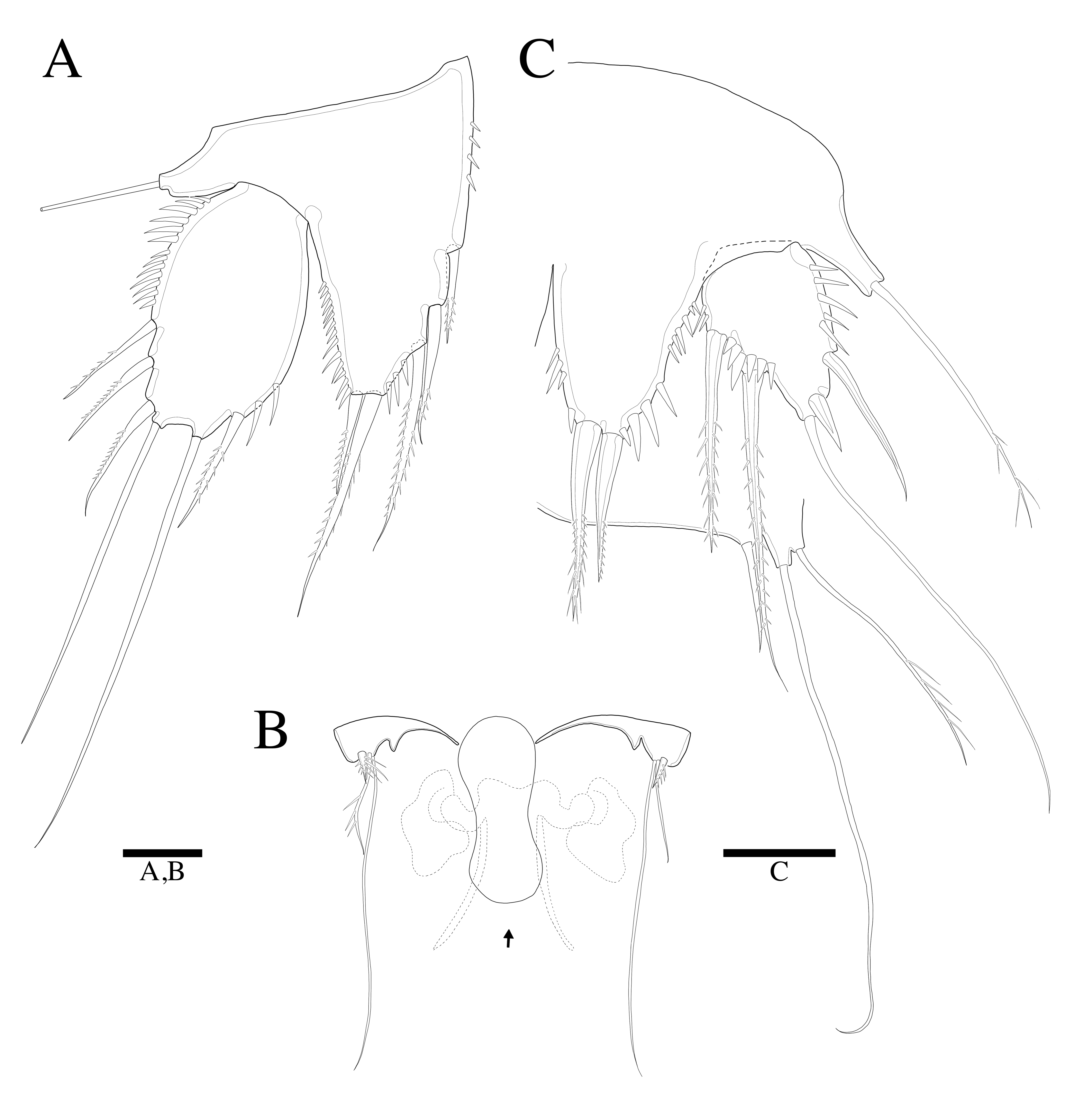 Diversity 14 01127 g007 Diversity 14 01127 g007