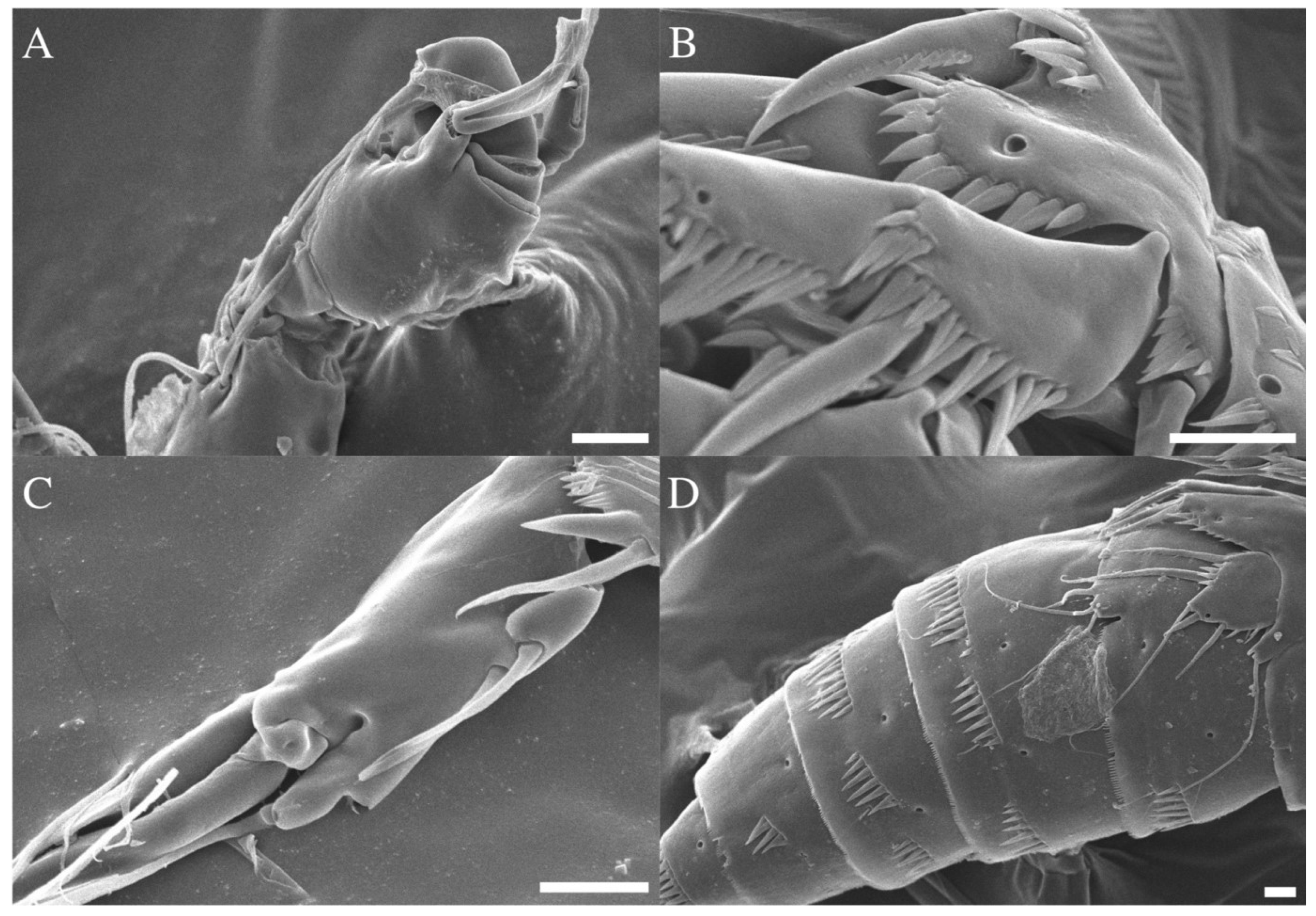 Diversity 14 01127 g009 Diversity 14 01127 g009