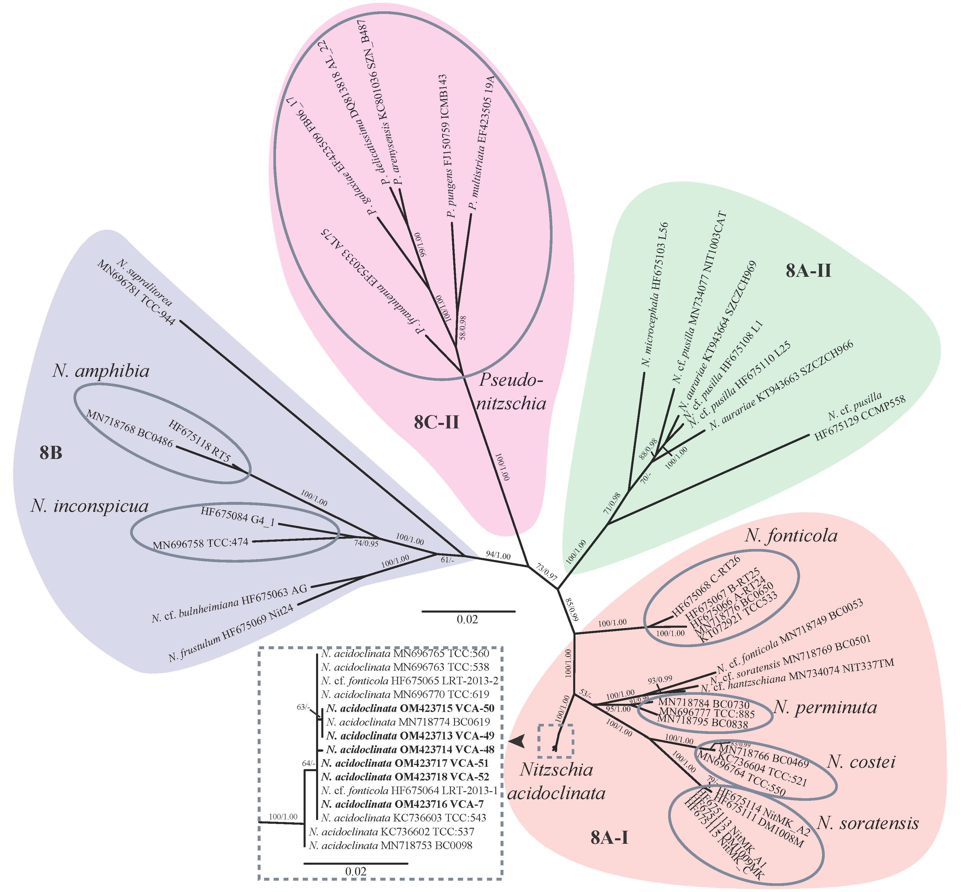 Diversity 14 01133 g002