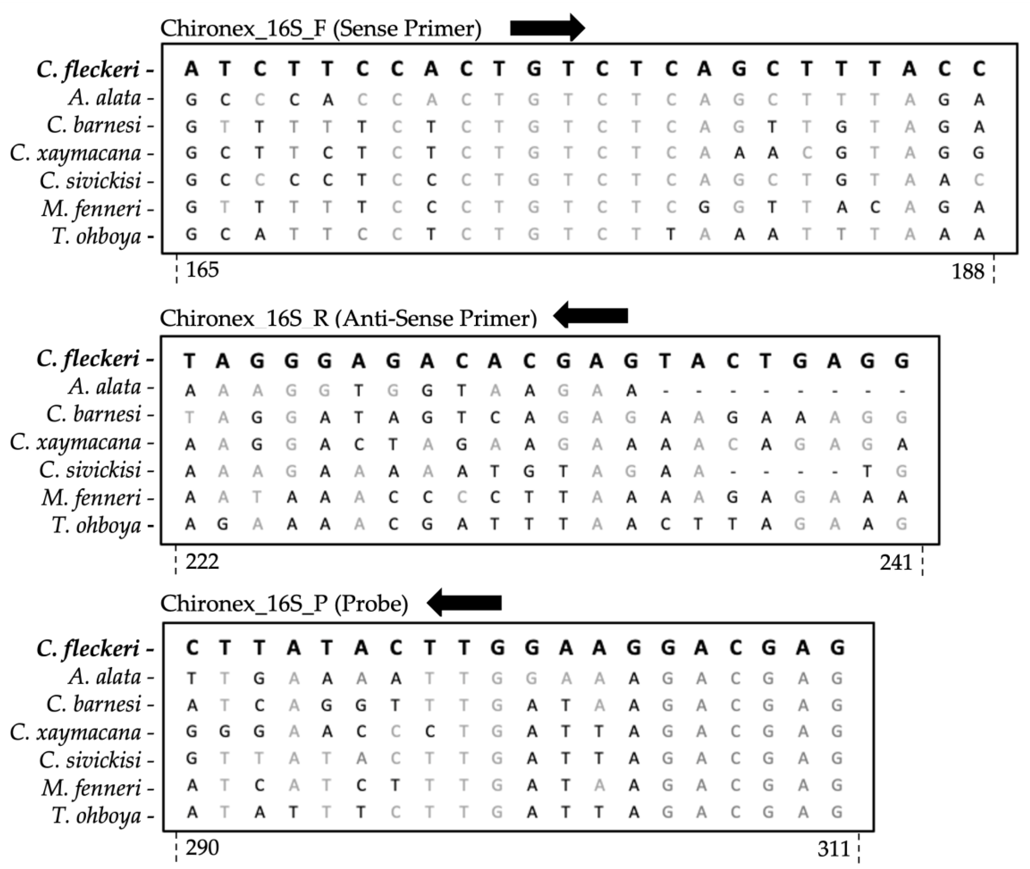Diversity 14 01139 g003 Diversity 14 01139 g003