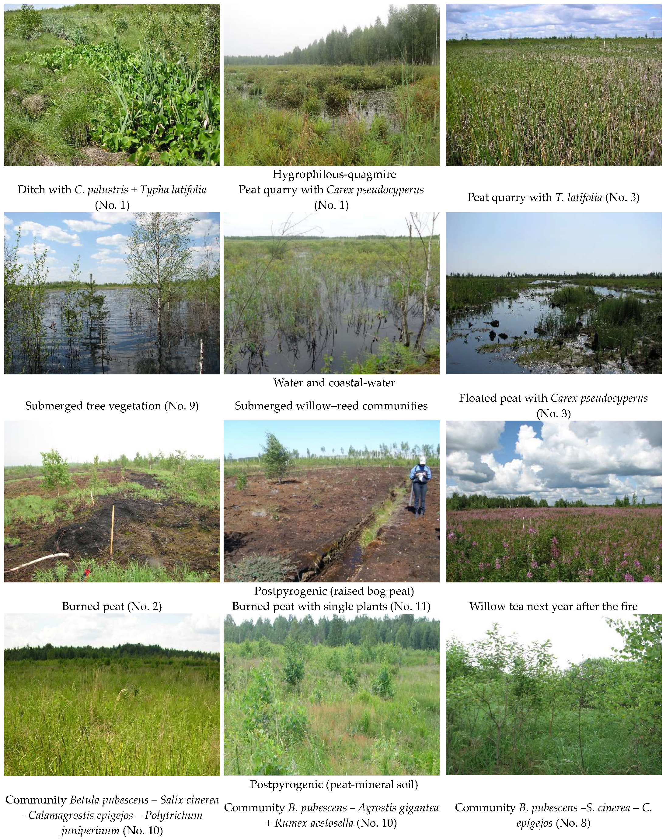 Diversity 15 00003 g003b