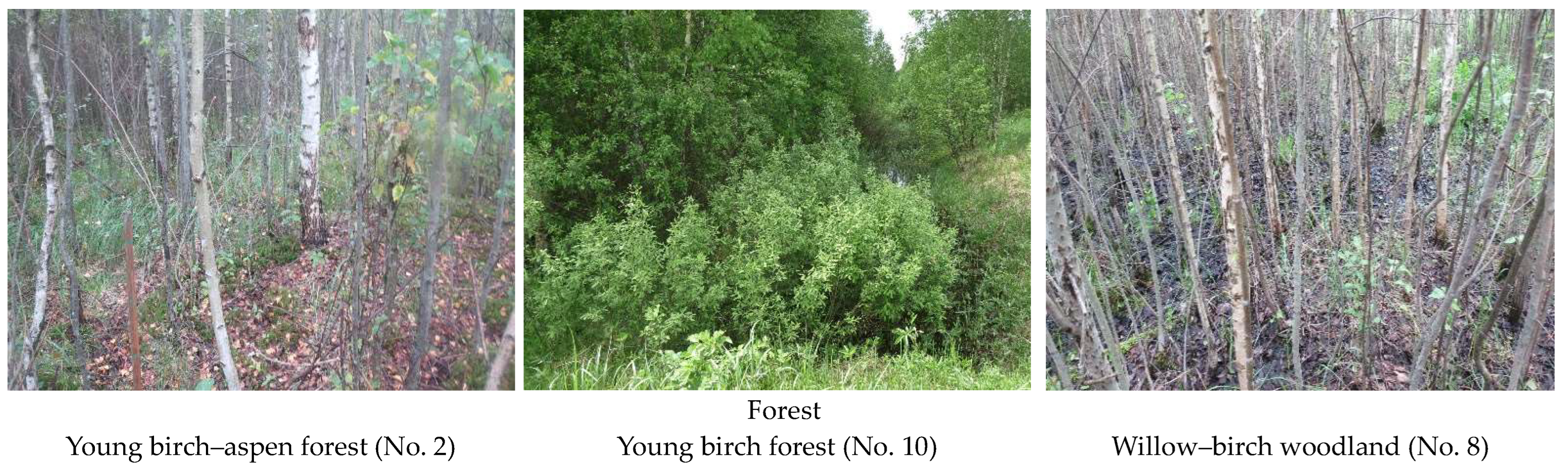 Diversity 15 00003 g003c