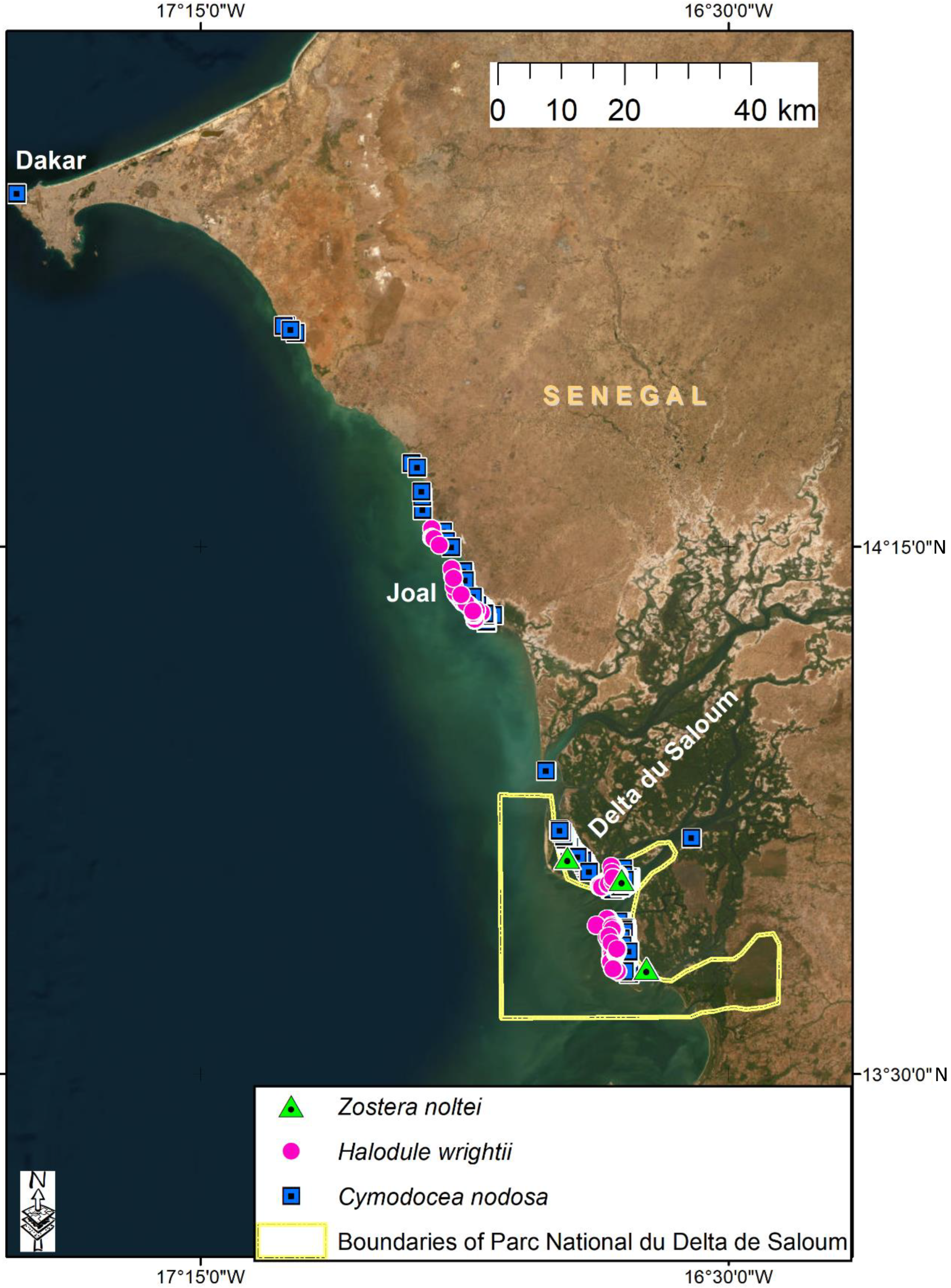 Diversity 15 00005 g001