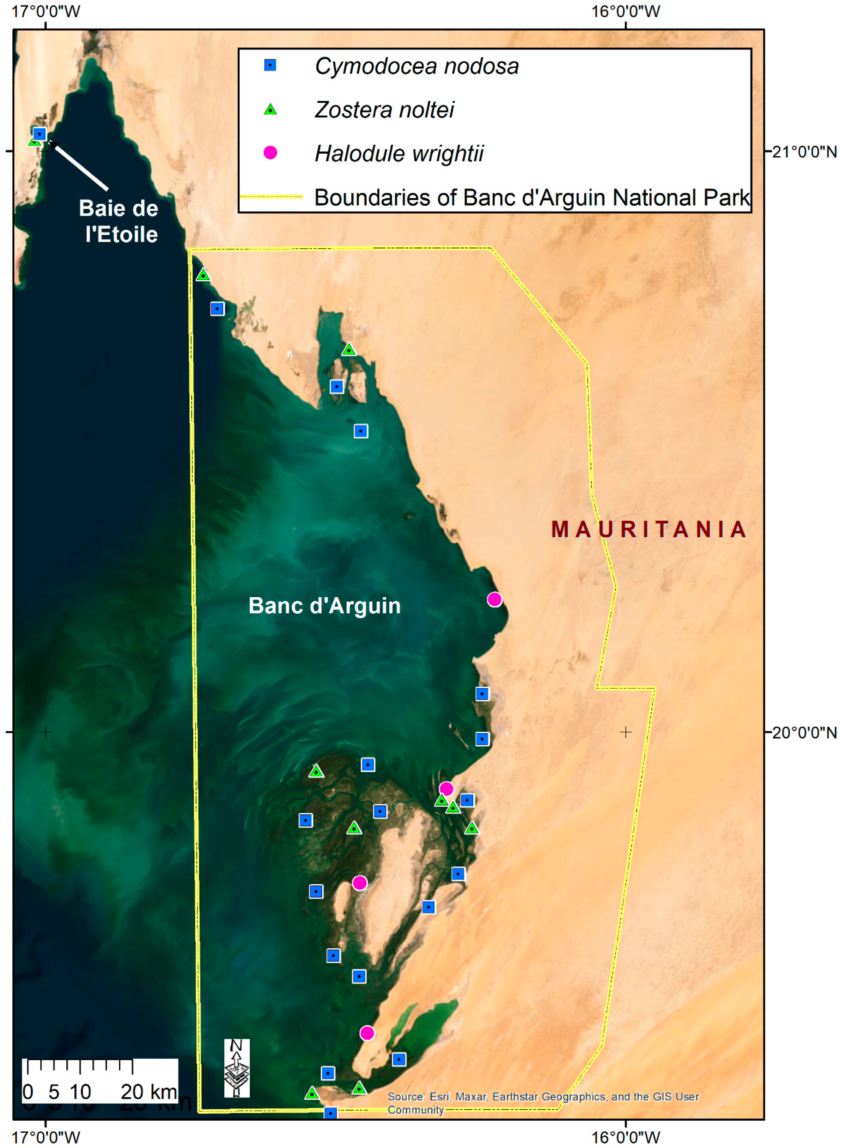 Diversity 15 00005 g003