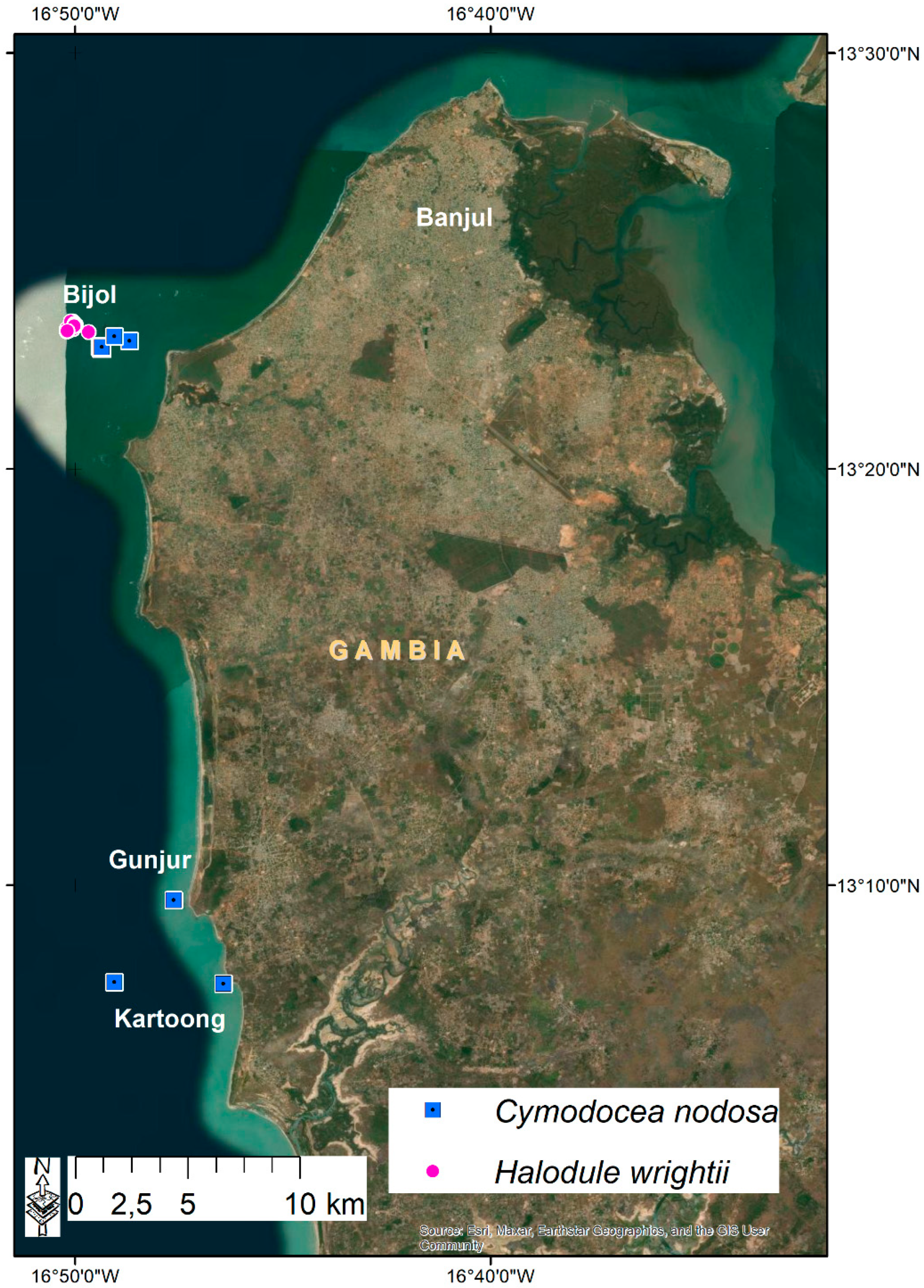 Diversity 15 00005 g004