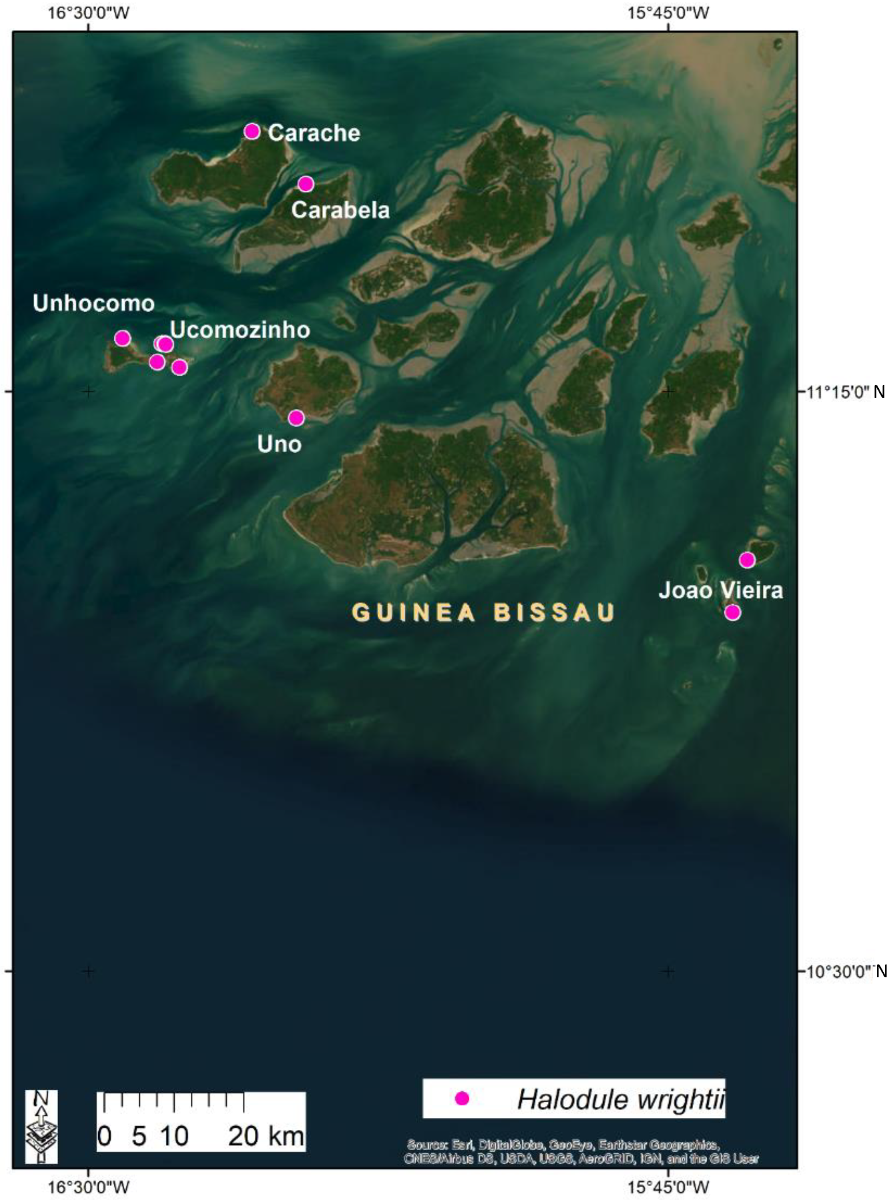 Diversity 15 00005 g006