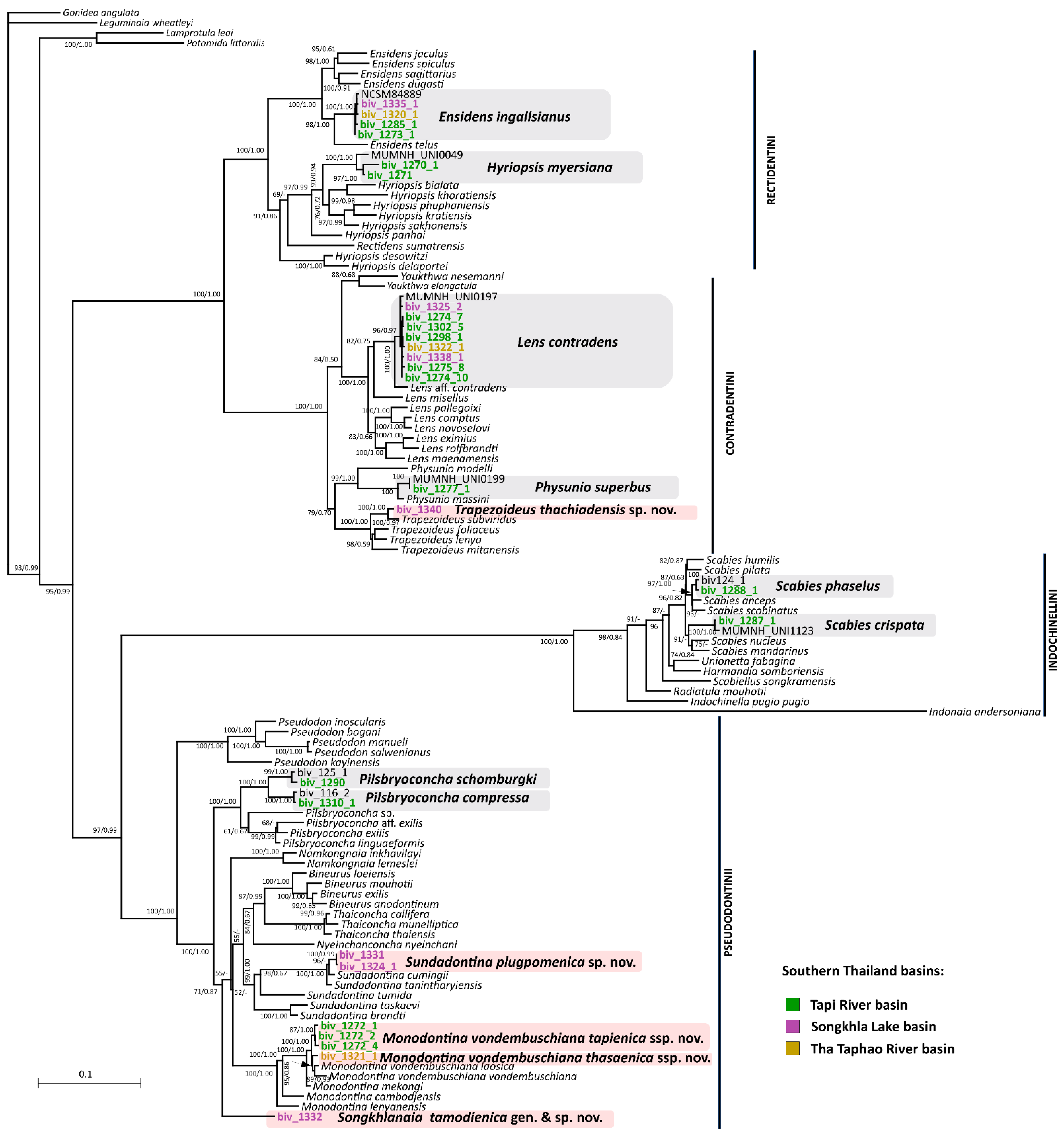 Diversity 15 00010 g008