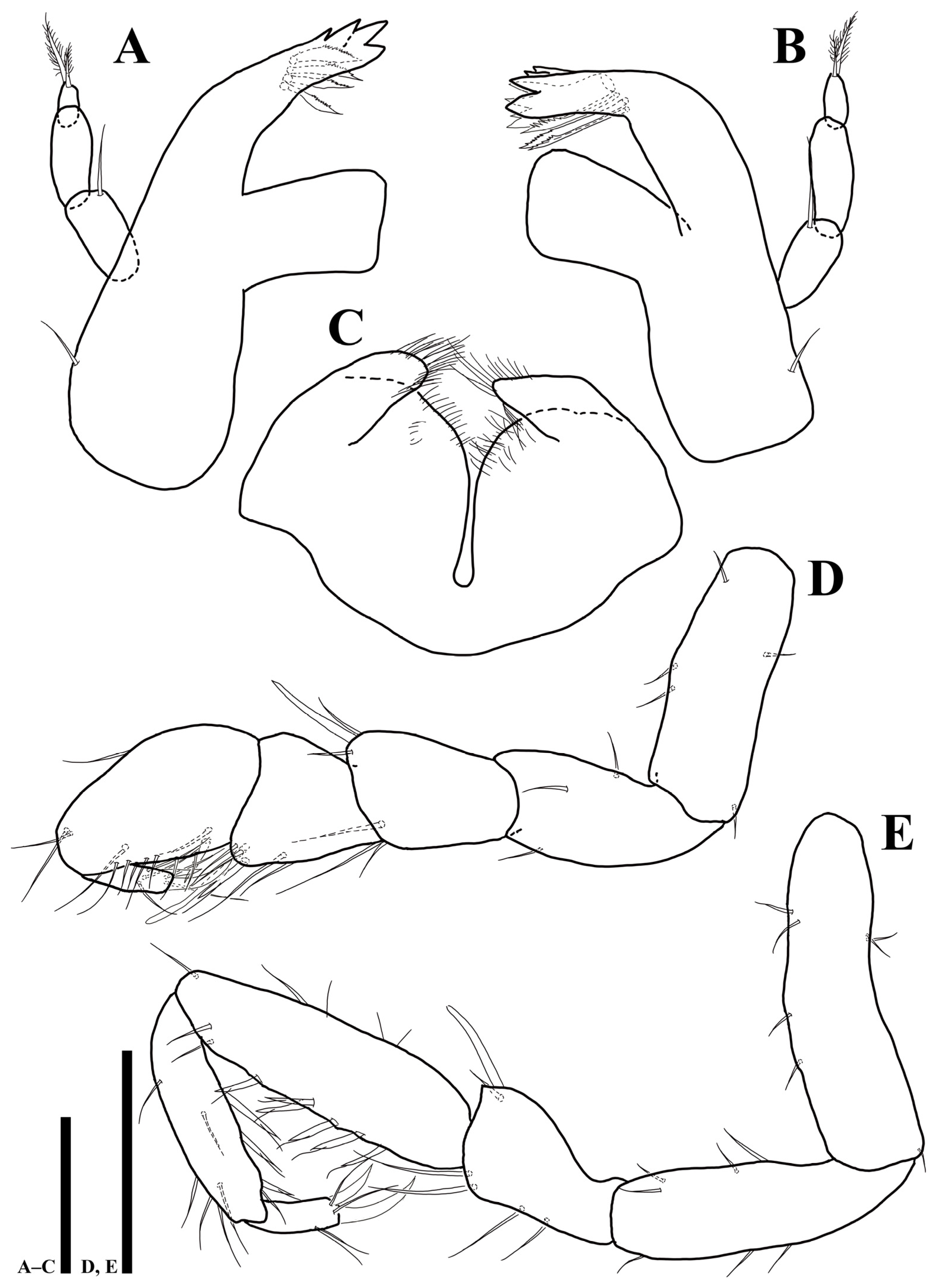 Diversity 15 00020 g004
