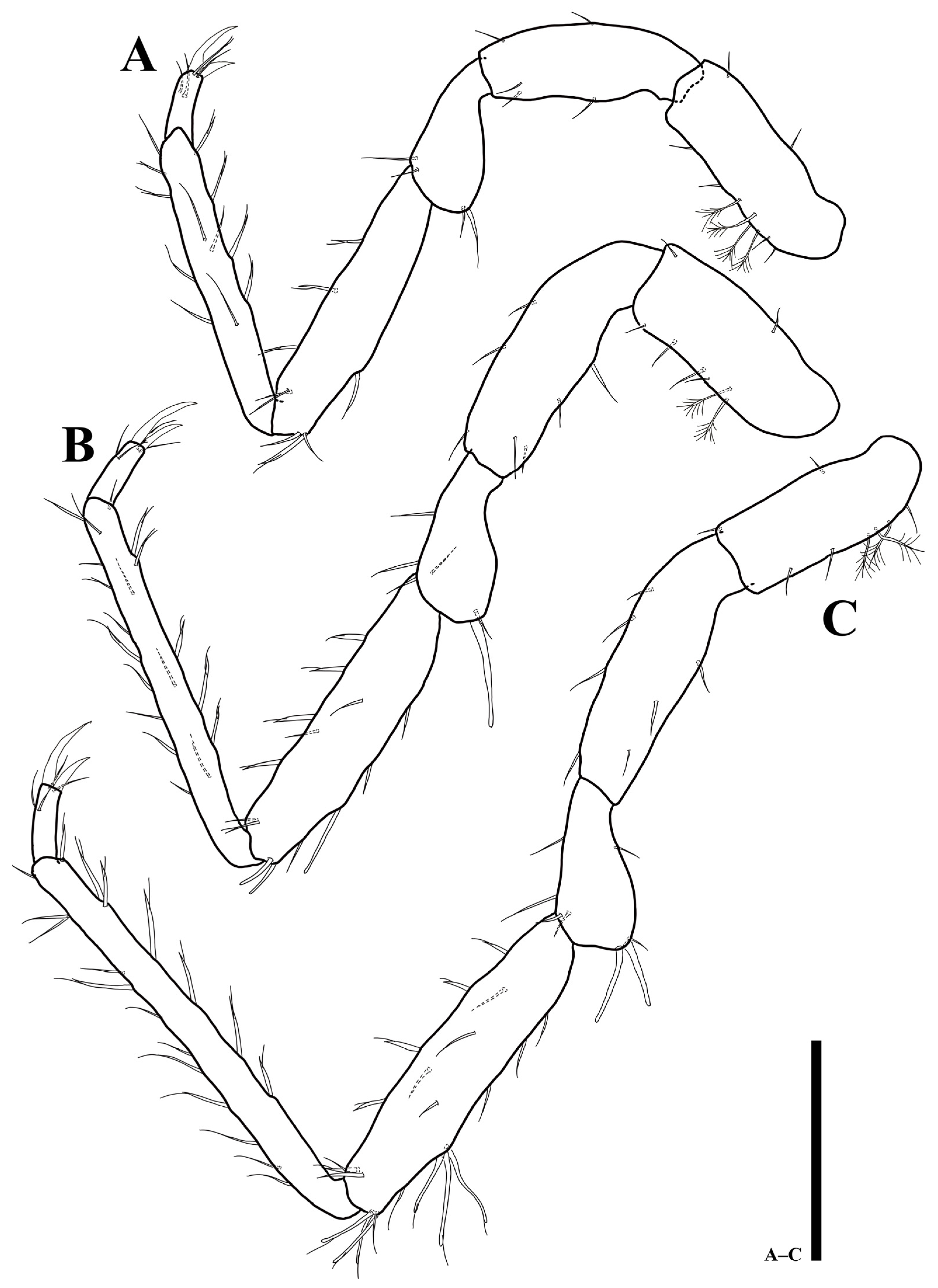 Diversity 15 00020 g005