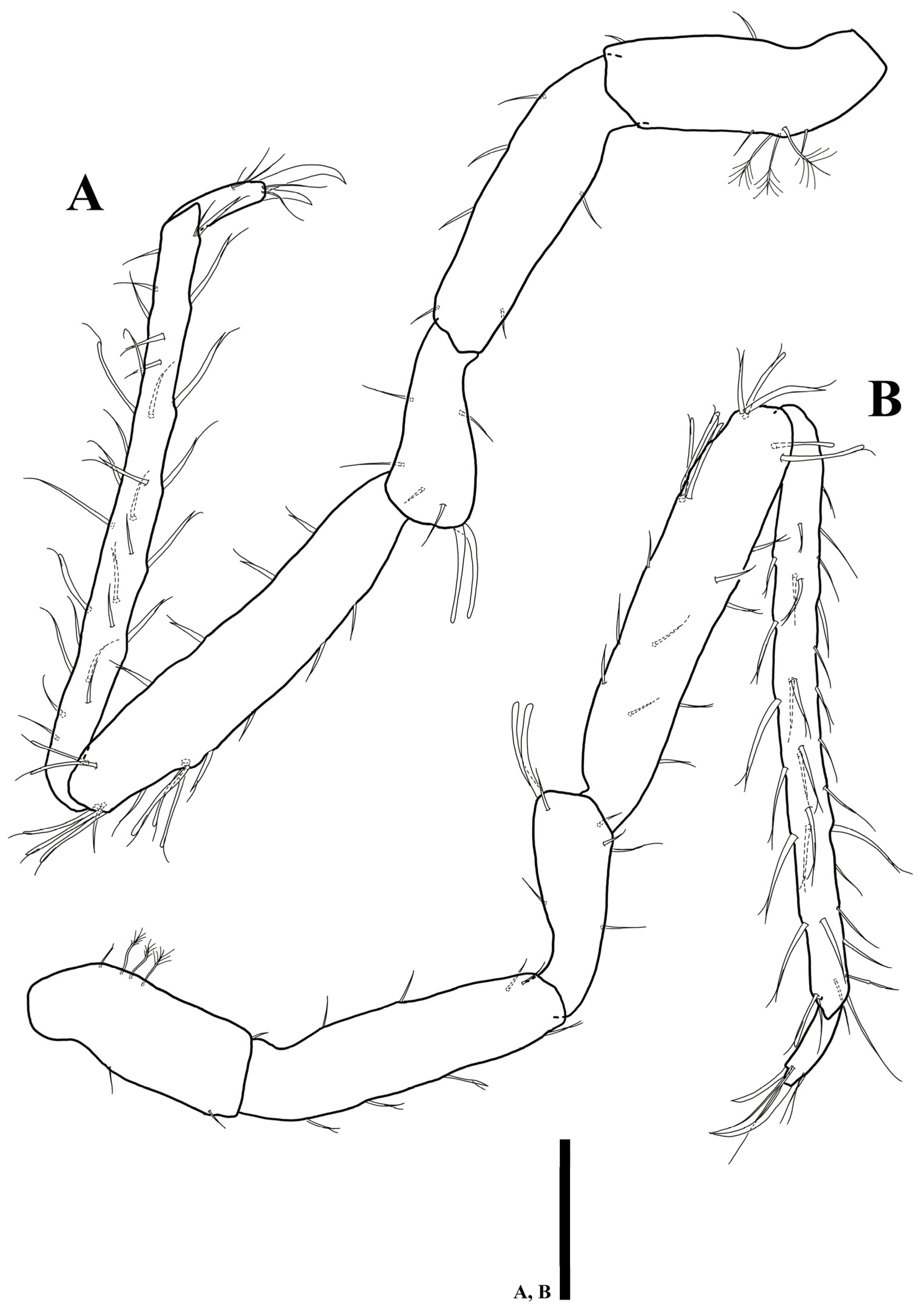 Diversity 15 00020 g006