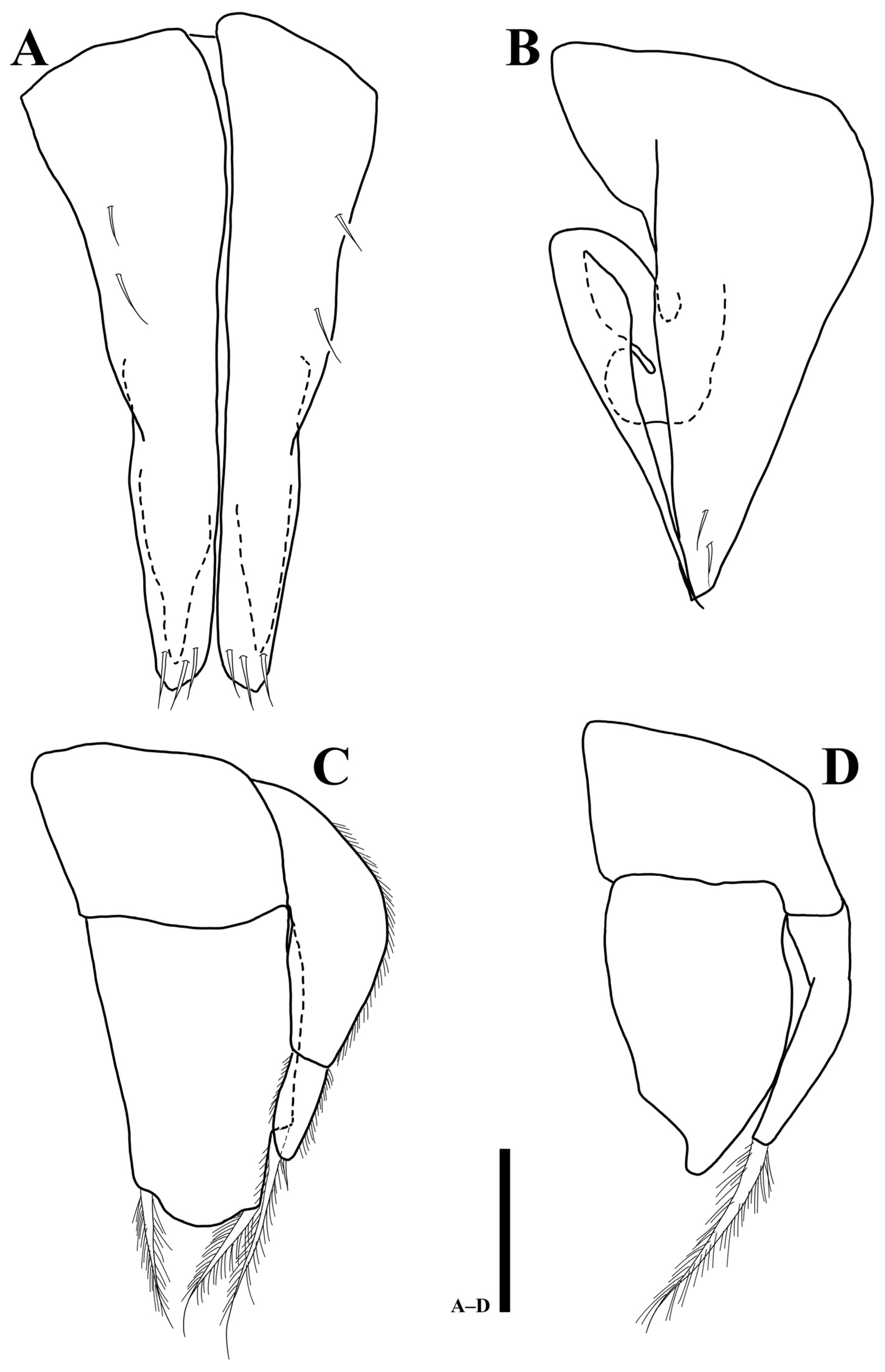 Diversity 15 00020 g007