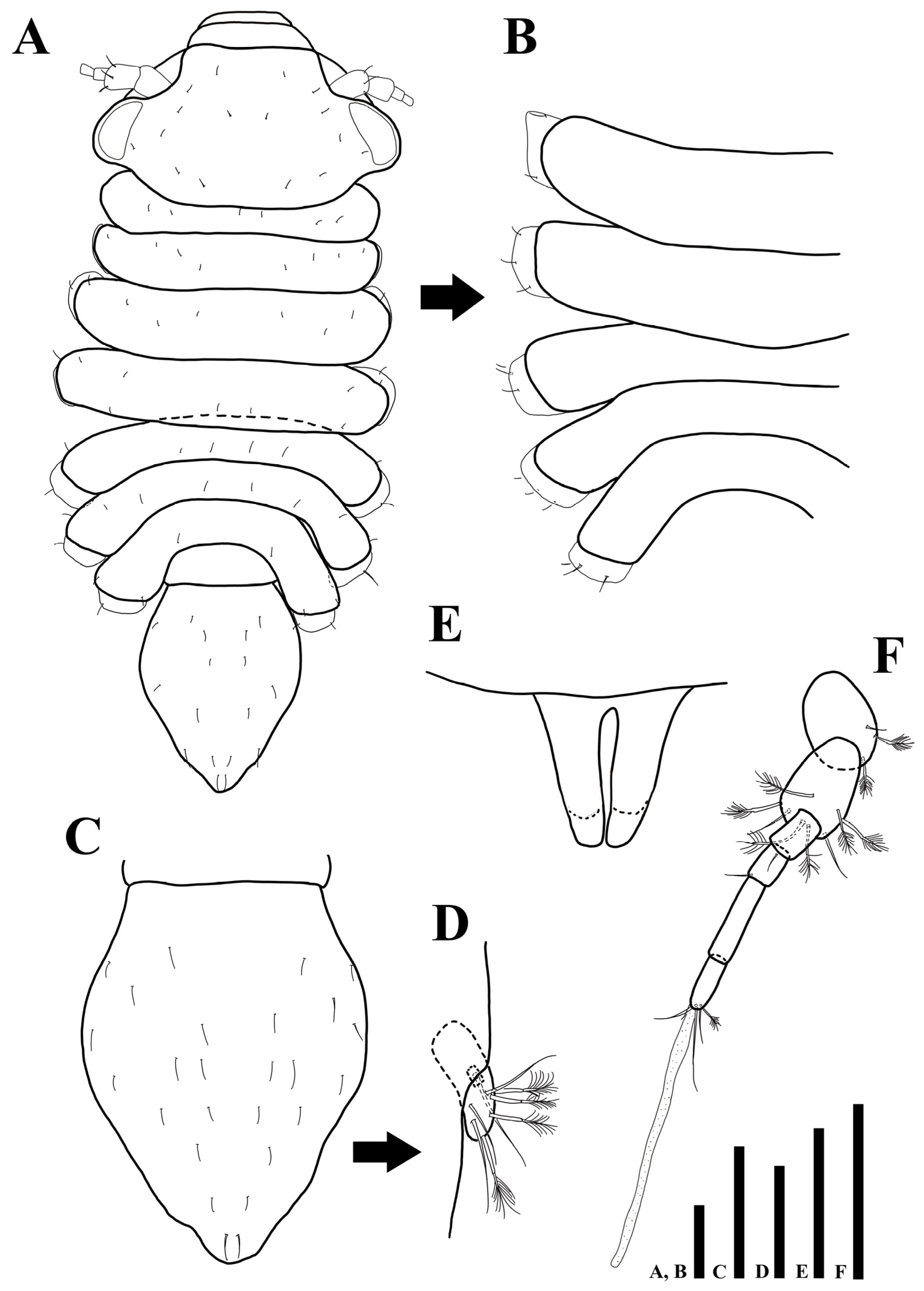 Diversity 15 00020 g009