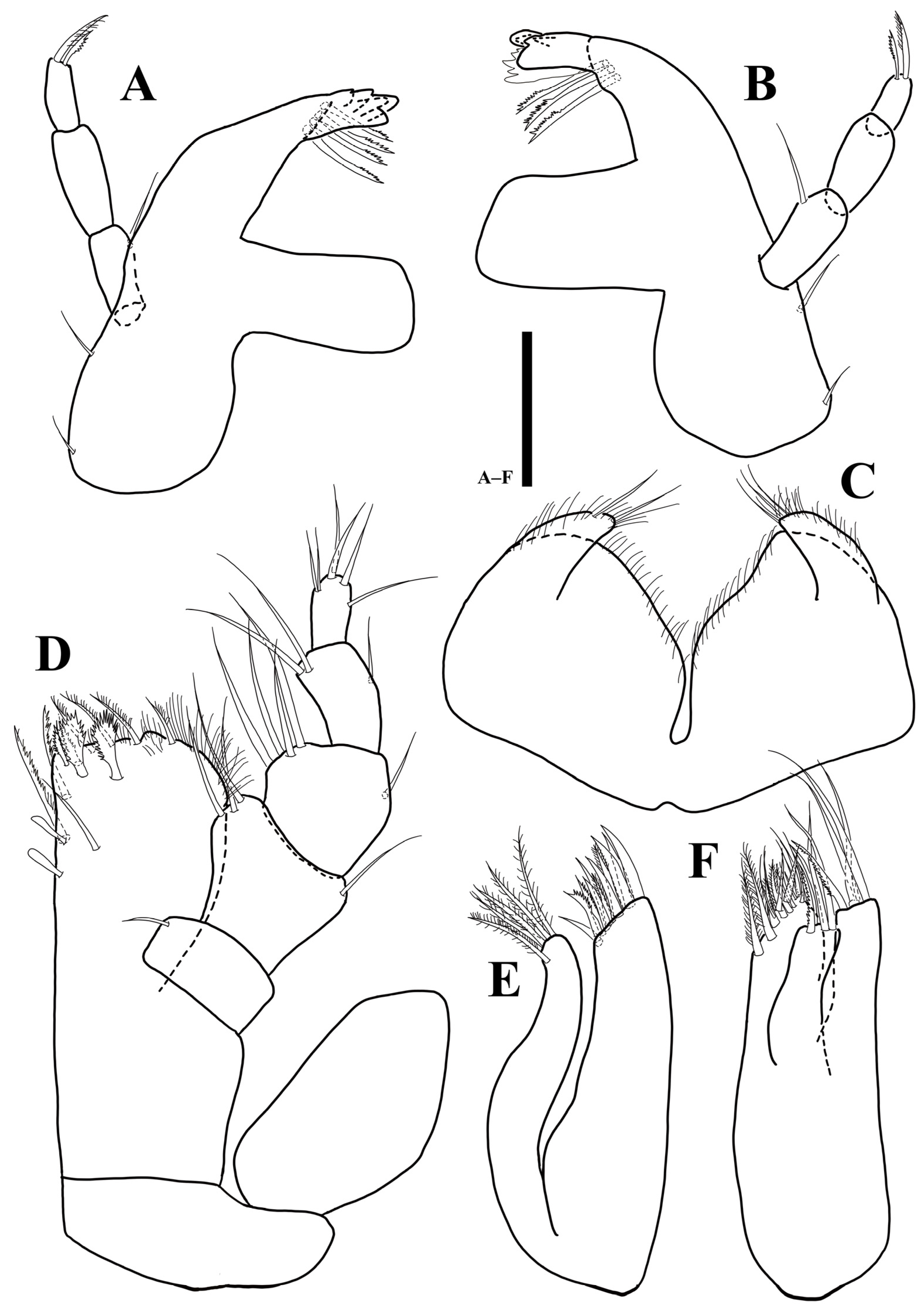Diversity 15 00020 g010