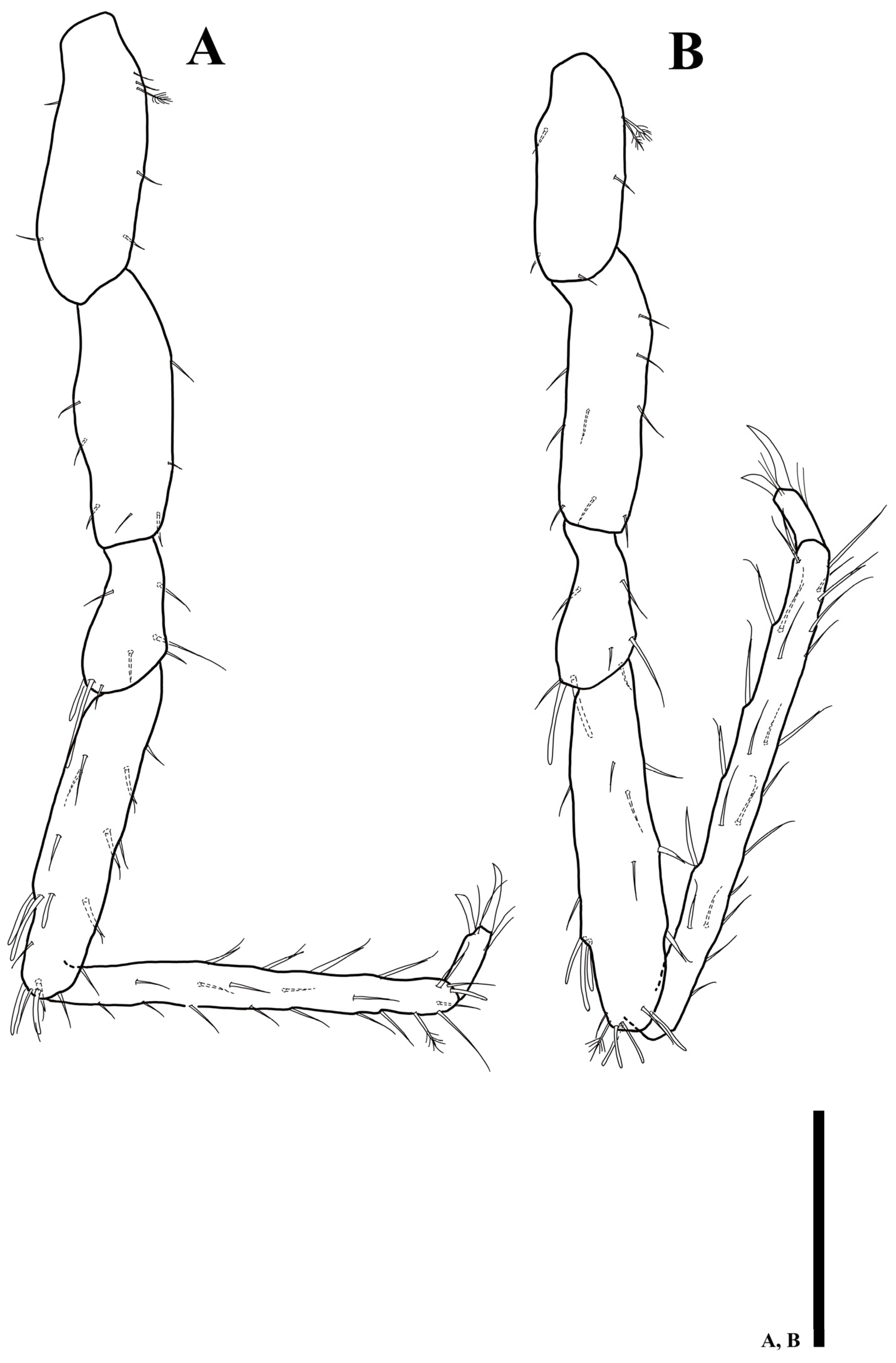 Diversity 15 00020 g012