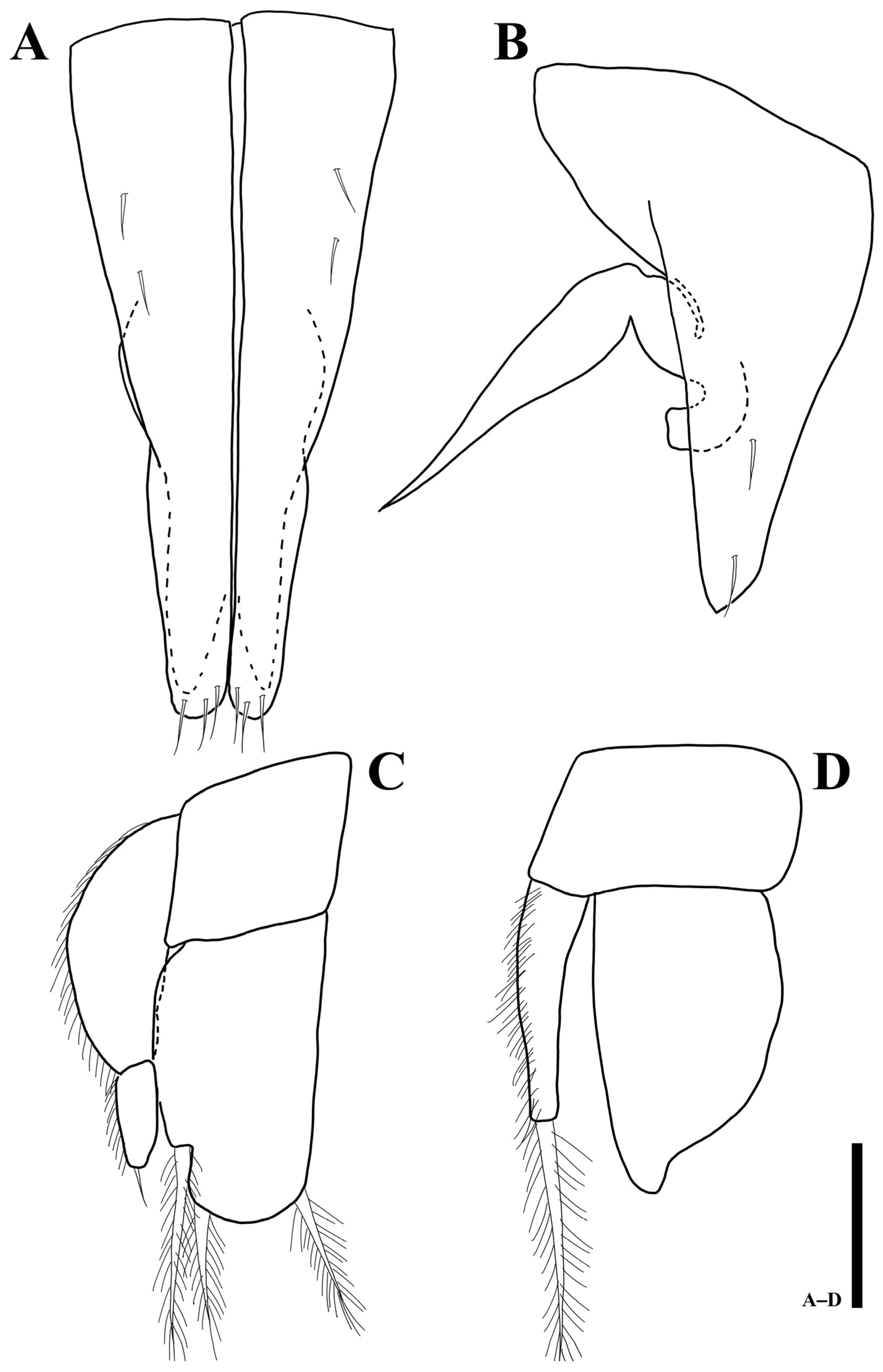 Diversity 15 00020 g013