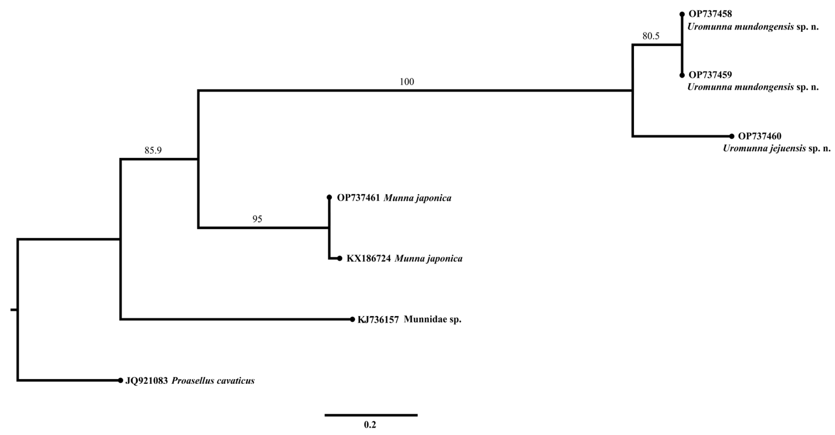 Diversity 15 00020 g015
